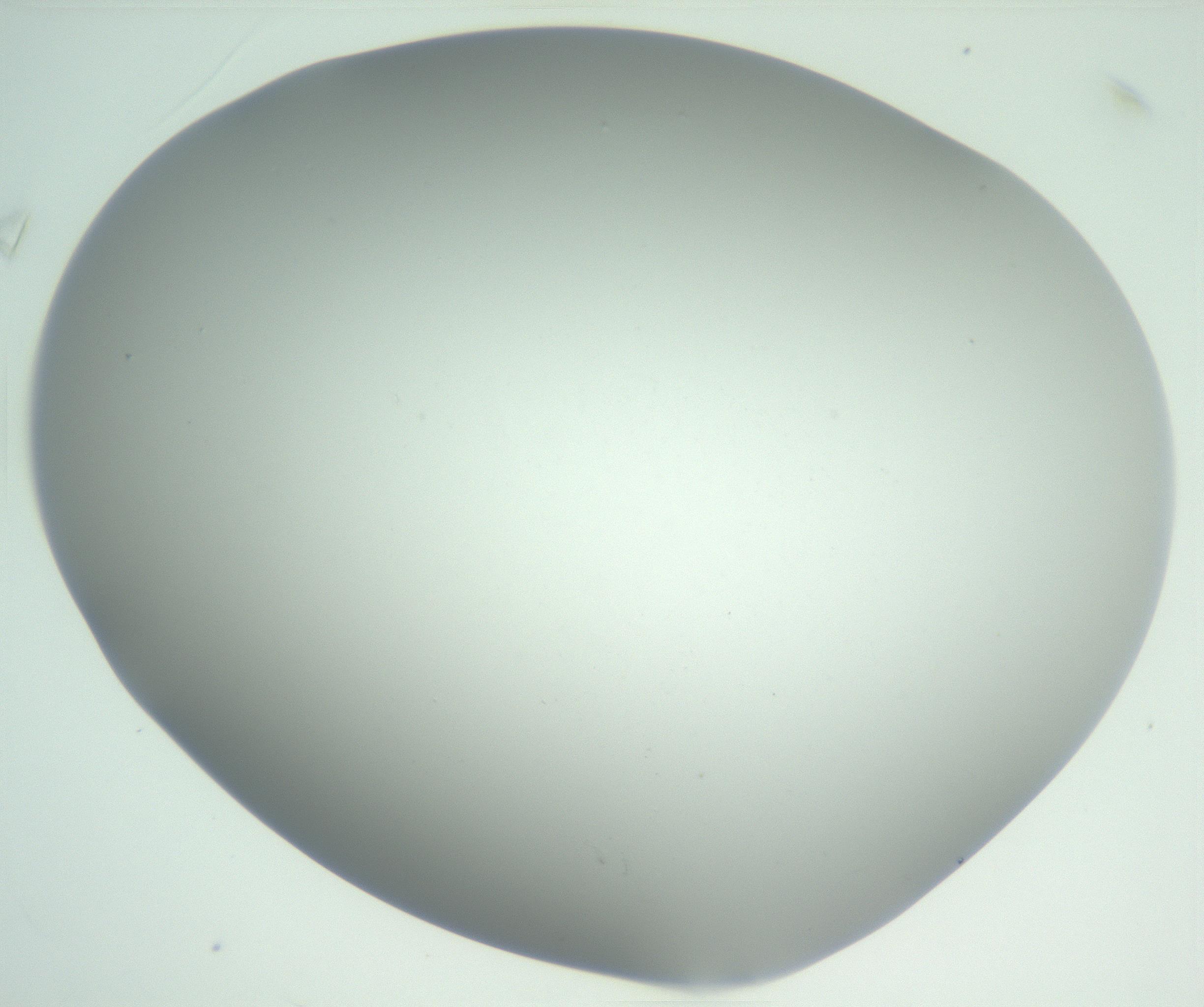 RI01_03_000_0212_Proj1_Clon1_MC_0000MC102810_007_161017_03_01_02_00_99_002_001_RAI.jpg