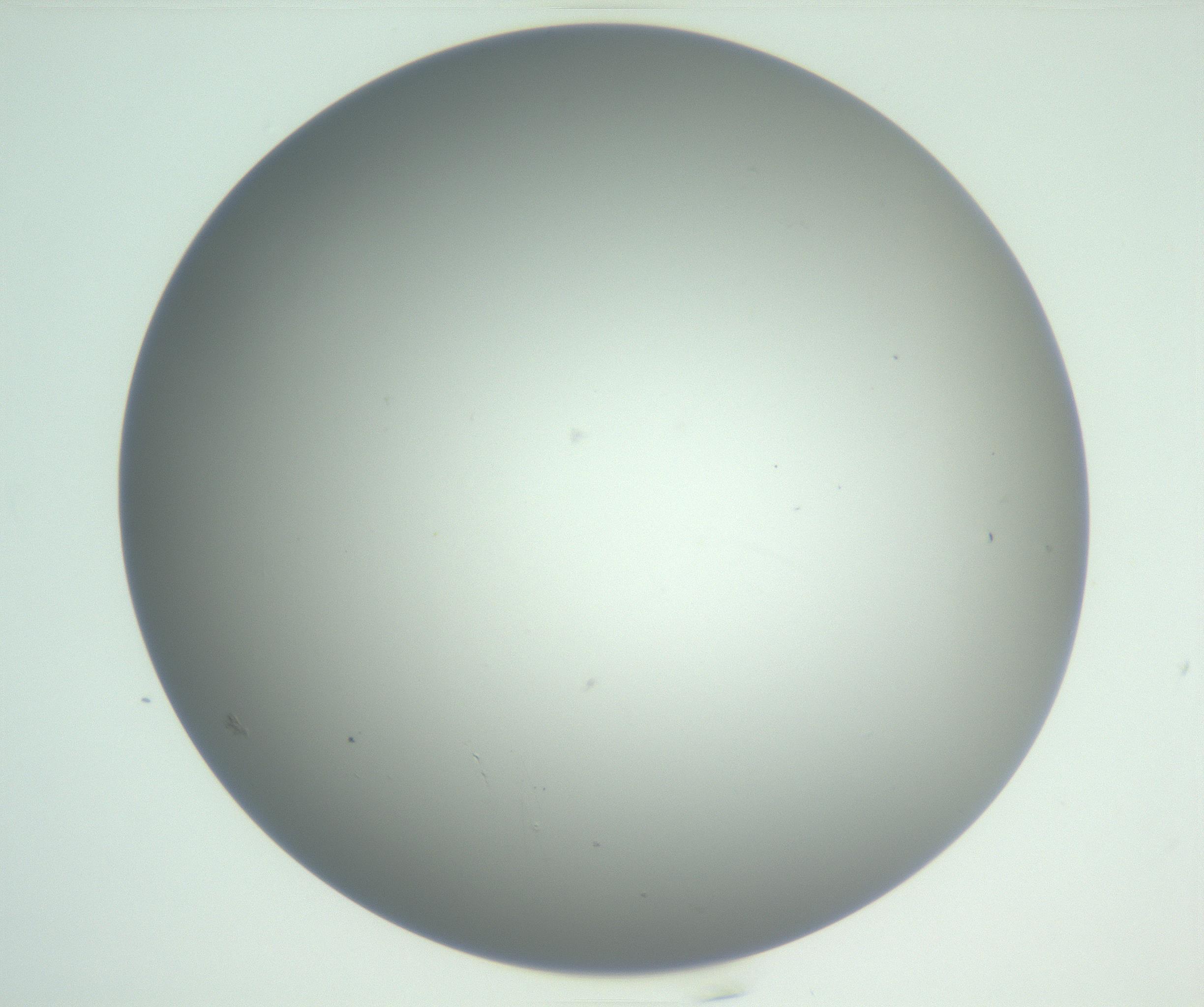 RI01_03_000_0212_Proj1_Clon1_MC_0000MC102810_007_161017_03_02_01_00_99_002_001_RAI.jpg