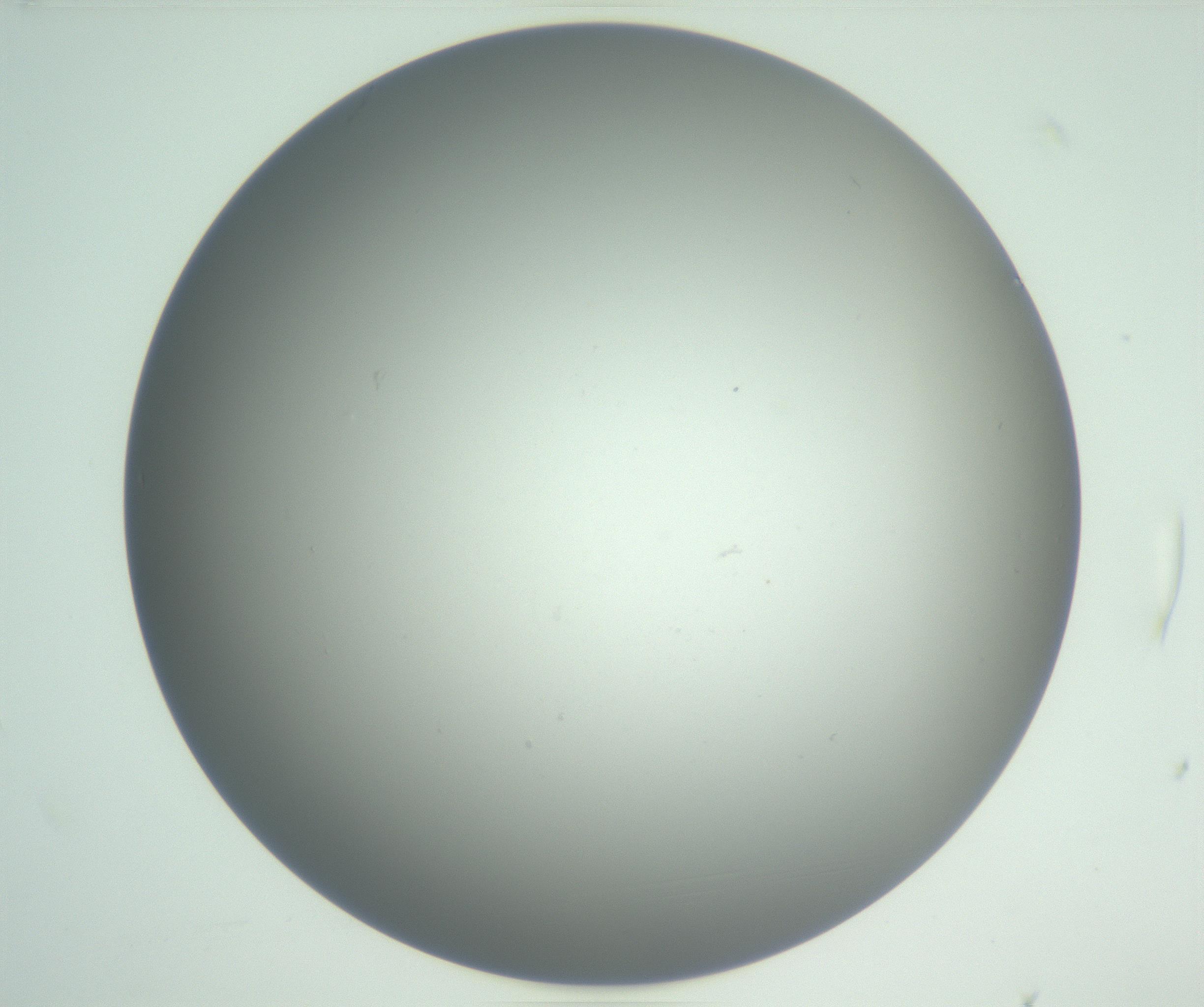 RI01_03_000_0212_Proj1_Clon1_MC_0000MC102810_007_161017_04_01_01_00_99_002_001_RAI.jpg