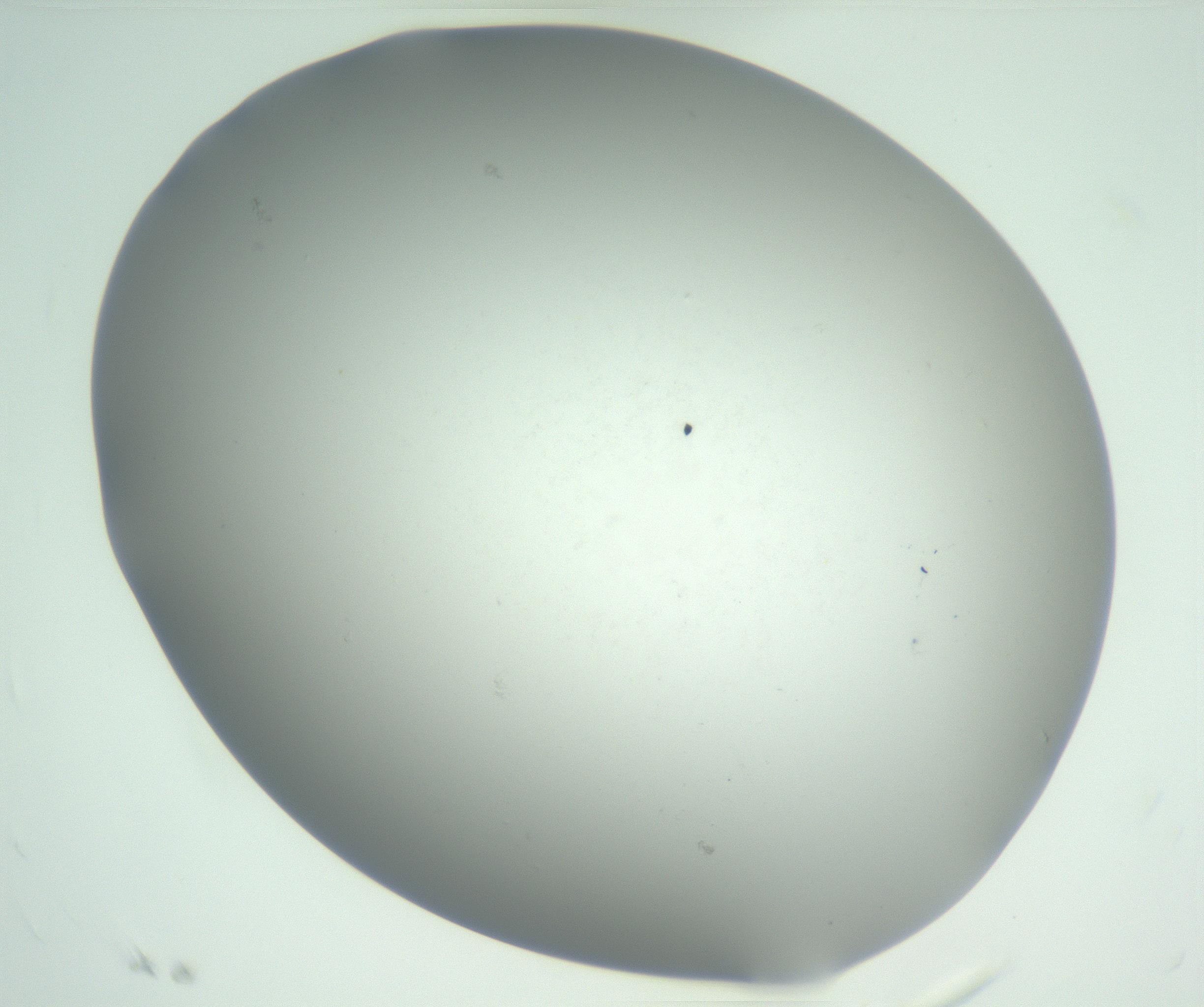 RI01_03_000_0212_Proj1_Clon1_MC_0000MC102810_007_161017_04_01_02_00_99_002_001_RAI.jpg