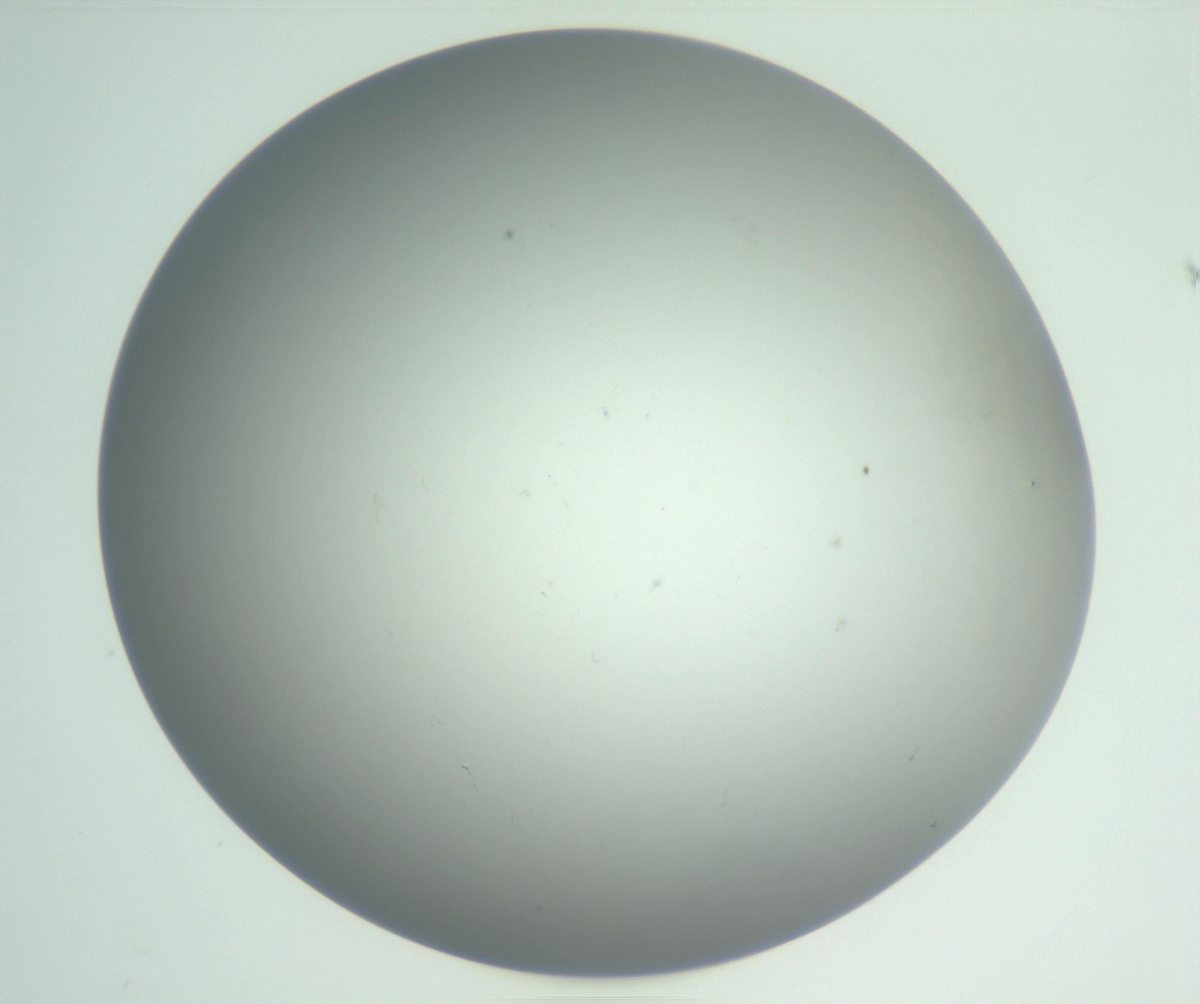 RI01_03_000_0212_Proj1_Clon1_MC_0000MC102810_007_161017_04_02_01_00_99_002_001_RAI.jpg