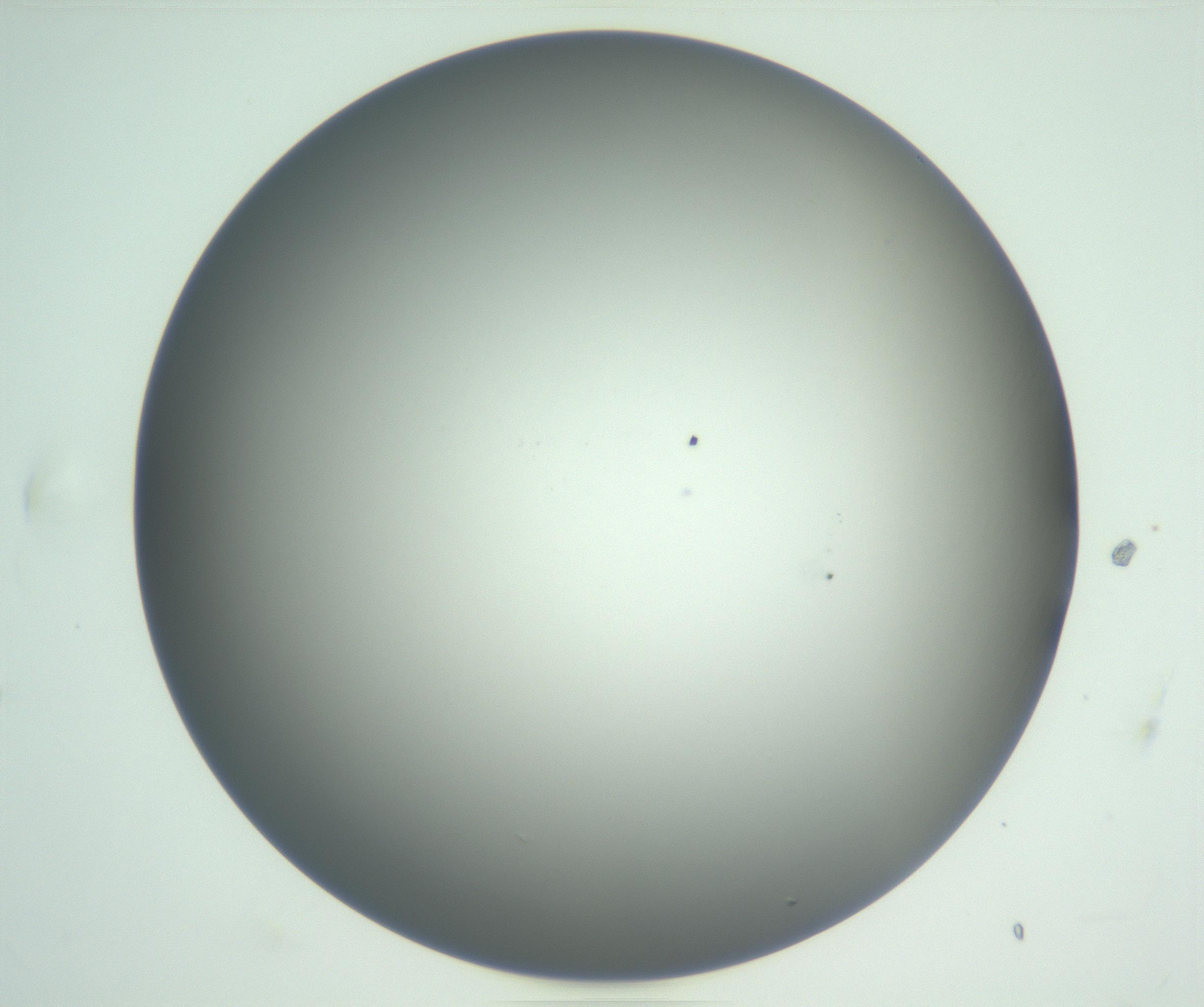 RI01_03_000_0212_Proj1_Clon1_MC_0000MC102810_007_161017_07_01_01_00_99_002_001_RAI.jpg