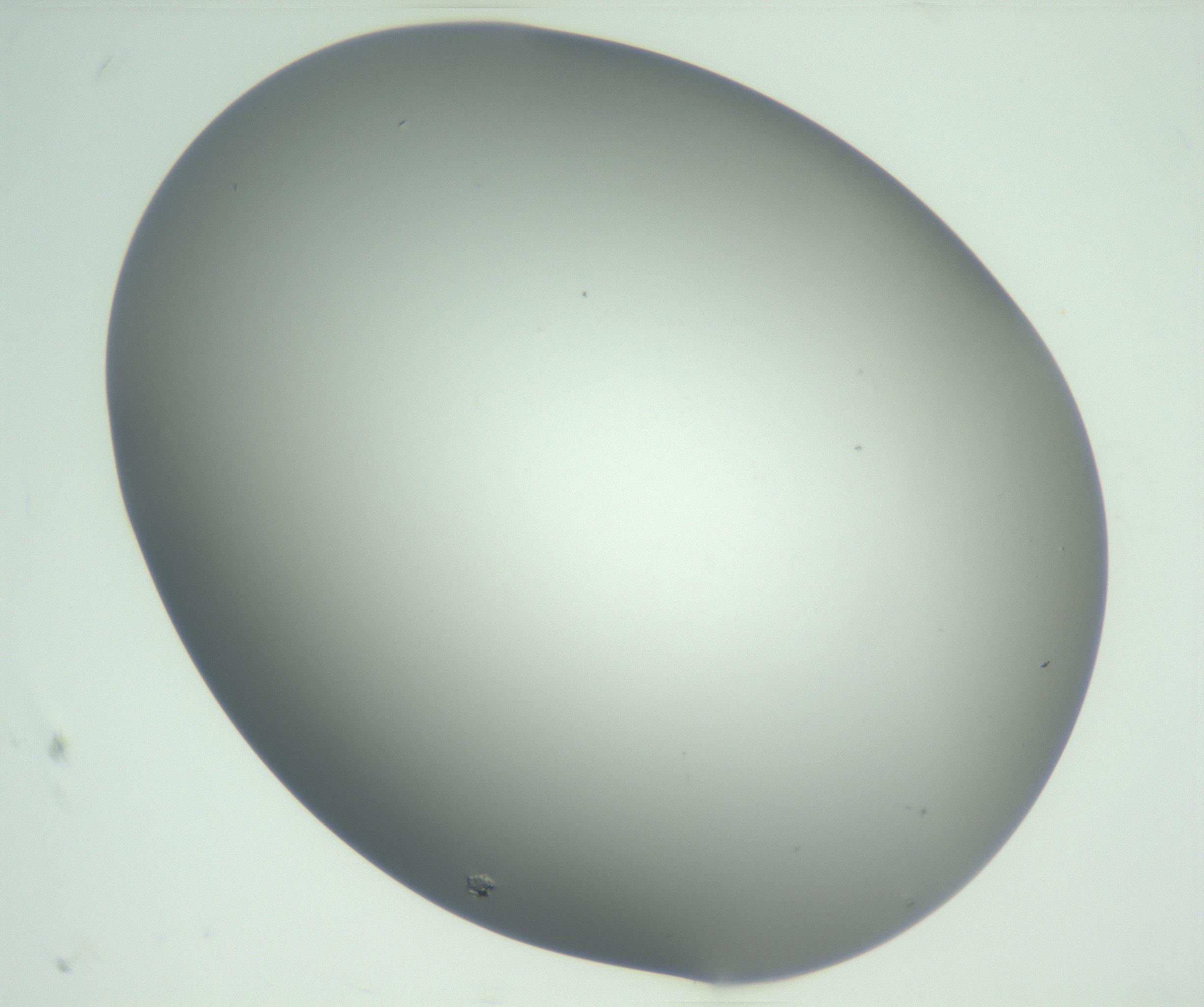 RI01_03_000_0212_Proj1_Clon1_MC_0000MC102810_007_161017_07_01_02_00_99_002_001_RAI.jpg
