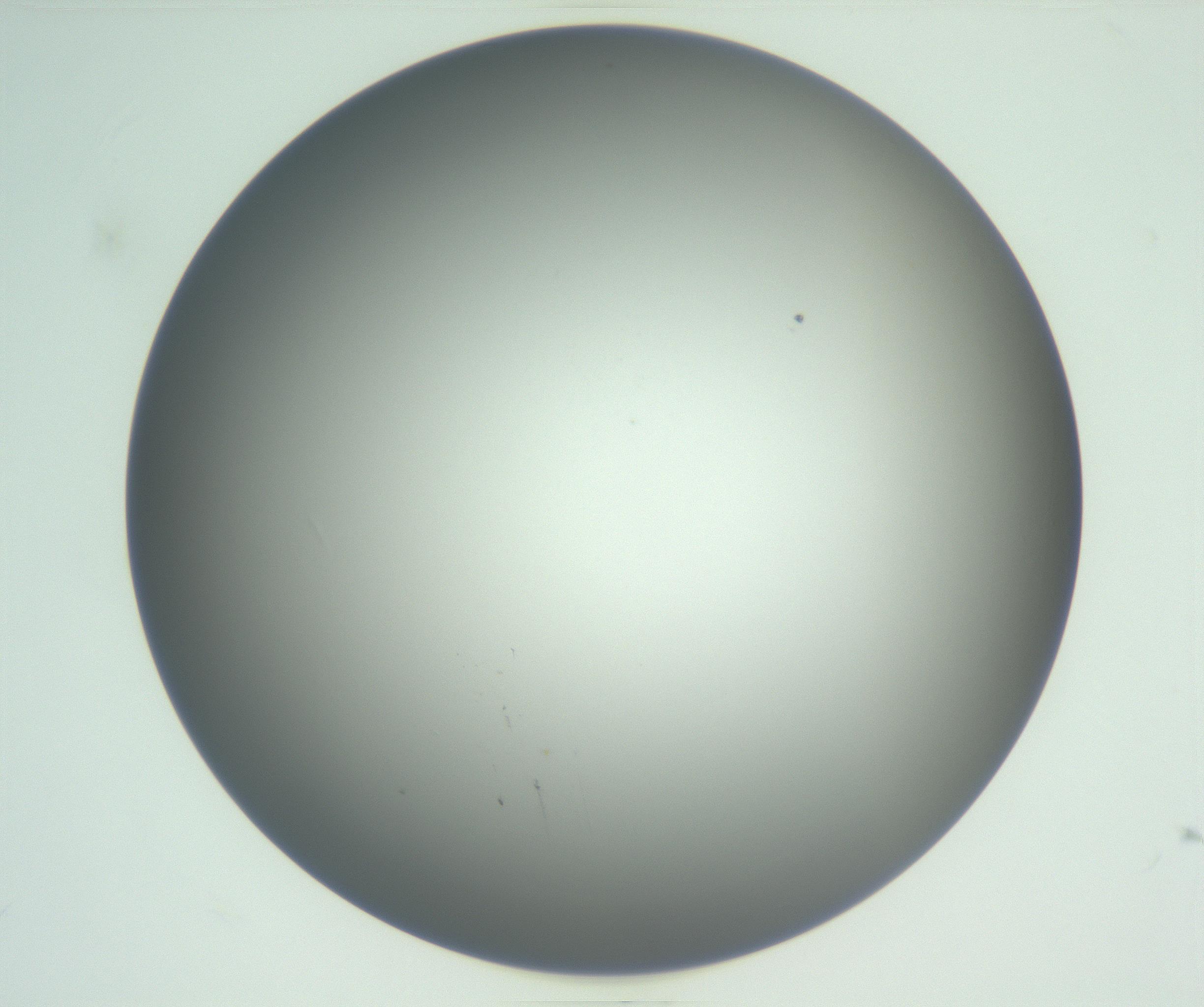 RI01_03_000_0212_Proj1_Clon1_MC_0000MC102810_007_161017_07_02_01_00_99_002_001_RAI.jpg