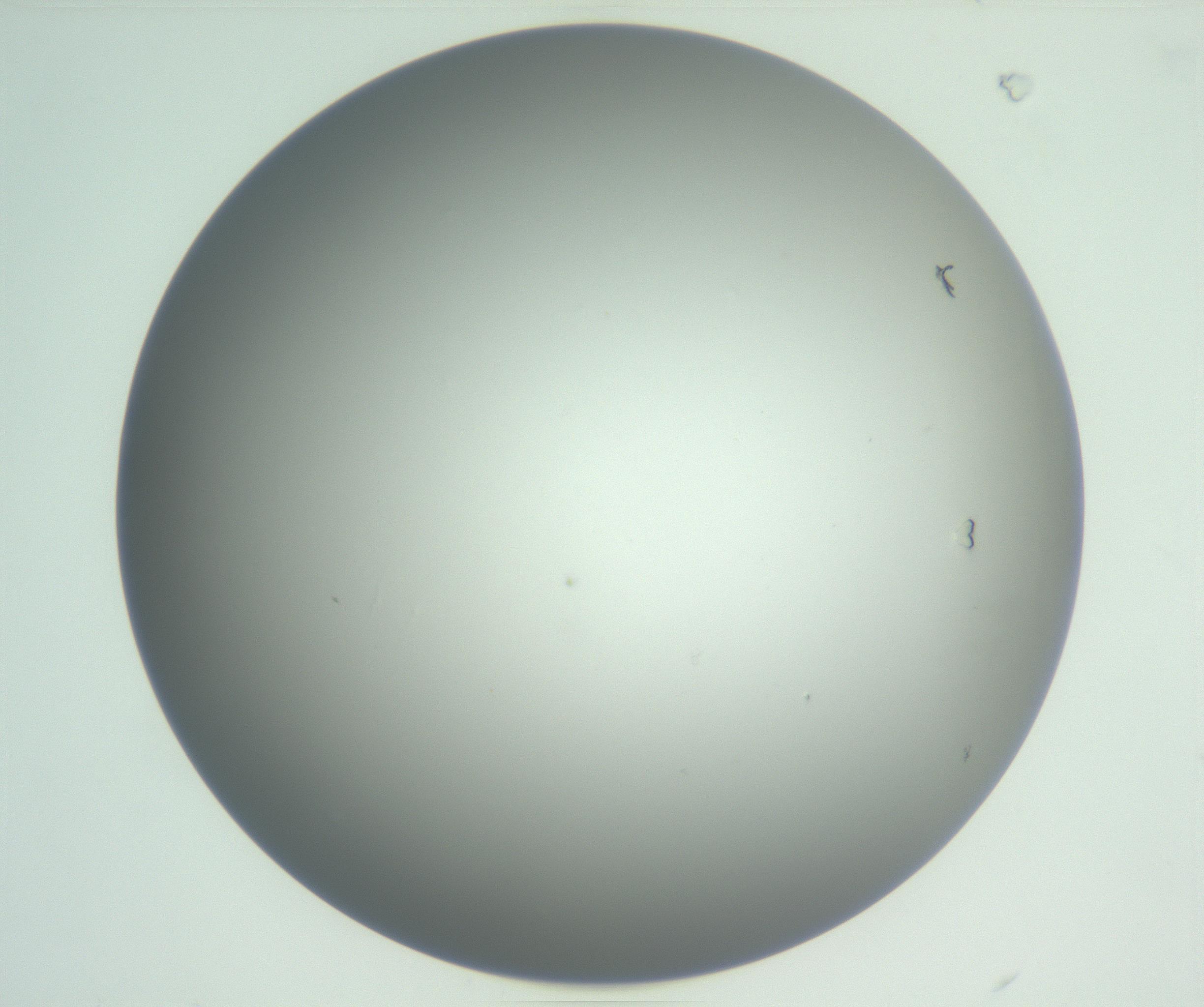 RI01_03_000_0212_Proj1_Clon1_MC_0000MC102810_007_161017_08_01_01_00_99_002_001_RAI.jpg