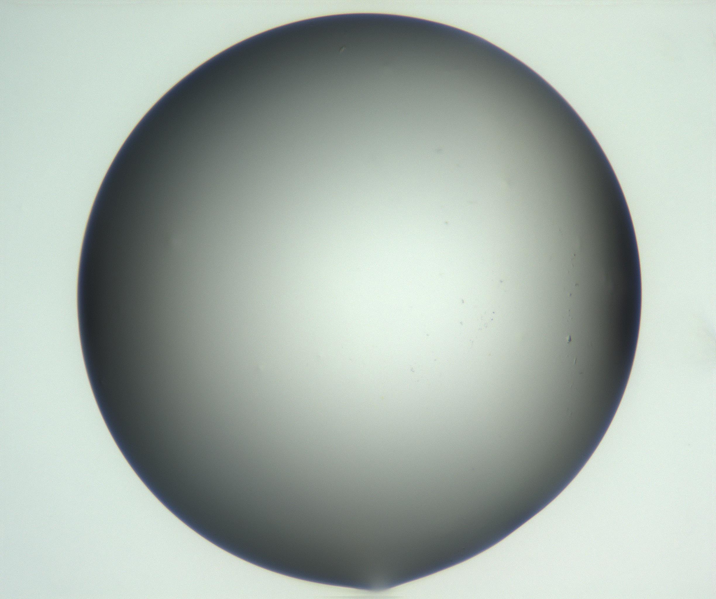 RI01_03_000_0212_Proj1_Clon1_MC_0000MC102810_007_161017_09_01_01_00_99_002_001_RAI.jpg