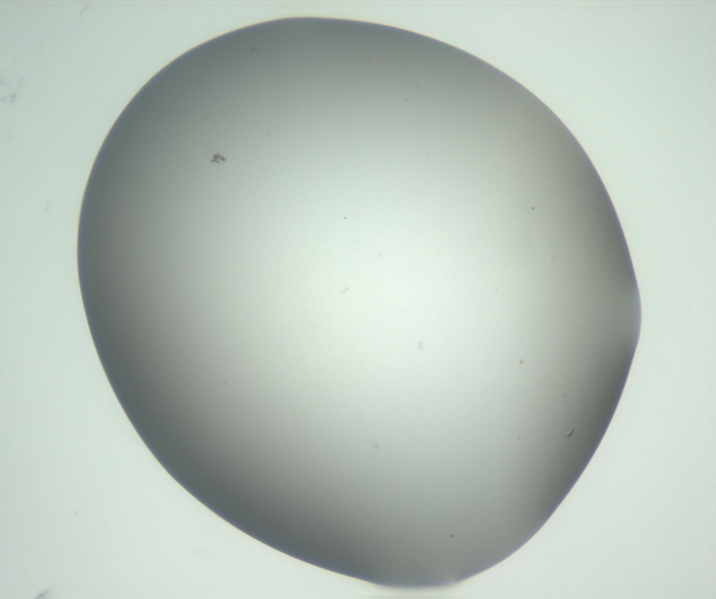 RI01_03_000_0212_Proj1_Clon1_MC_0000MC102810_007_161017_09_01_02_00_99_002_001_RAI.jpg