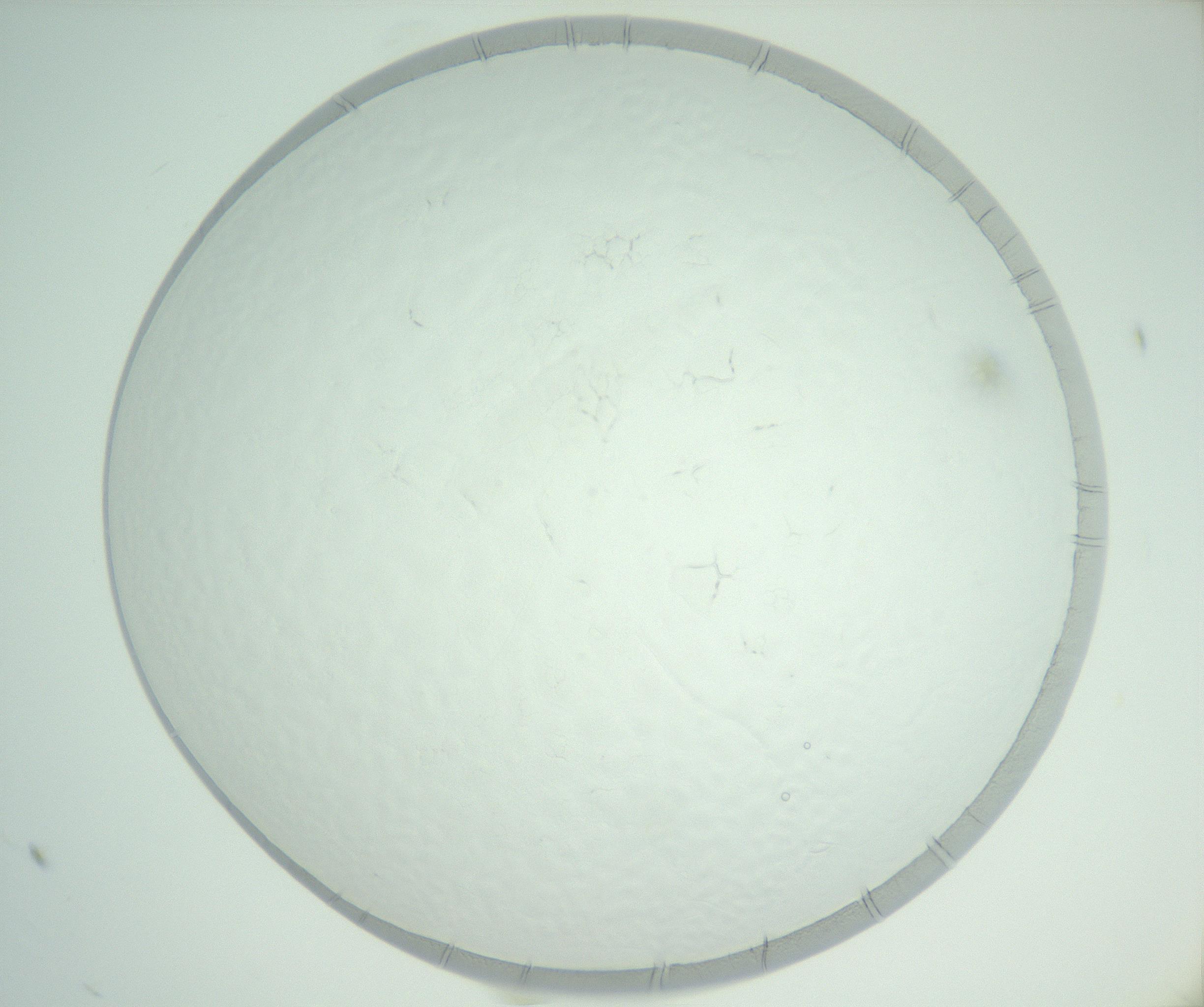 RI01_03_000_0212_Proj1_Clon1_MC_0000MC102816_002_161015_12_01_01_00_99_002_001_RAI.jpg