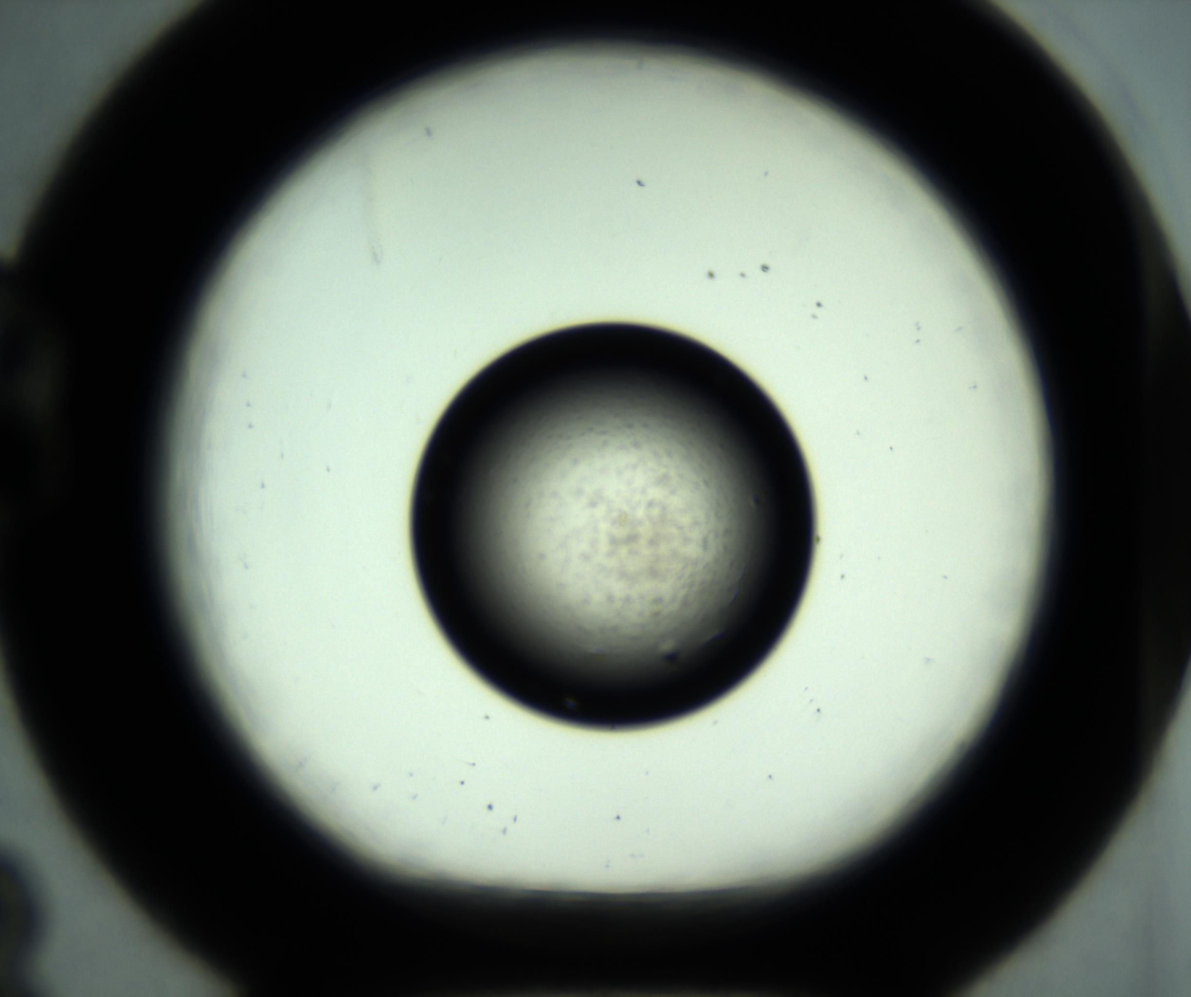 RI01_03_000_0212_Proj1_Clon1_MC_0000MC102817_005_161022_08_02_01_00_98_002_001_RAI.jpg