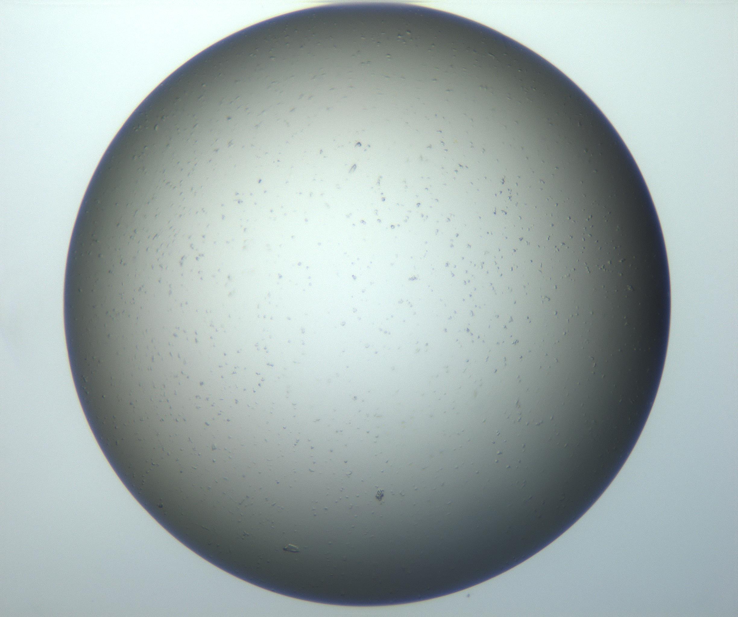 RI01_03_000_0212_Proj1_Clon1_MC_0000MC102825_010_161115_09_07_01_00_99_002_001_RAI.jpg