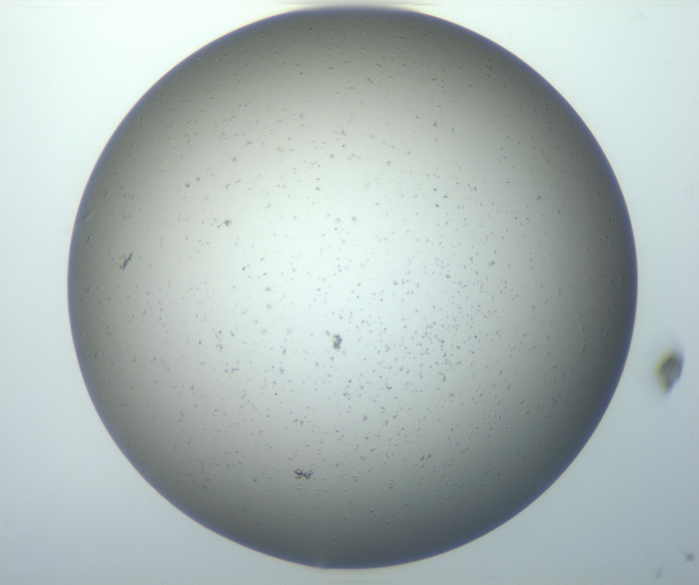 RI01_03_000_0212_Proj1_Clon1_MC_0000MC102826_005_161018_08_03_01_00_99_002_001_RAI.jpg