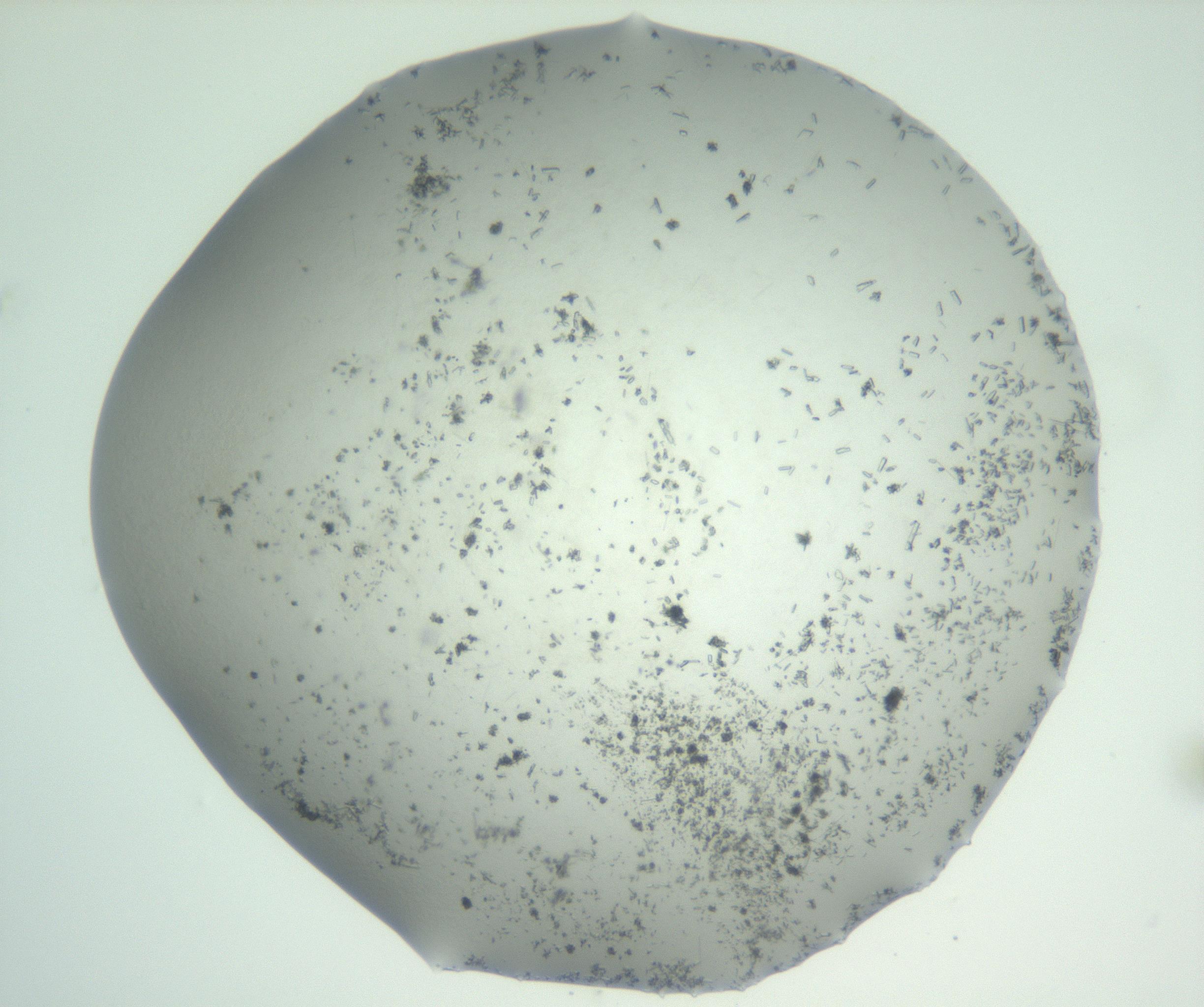 RI01_03_000_0212_Proj1_Clon1_MC_0000MC102829_002_161015_01_03_02_00_99_002_001_RAI.jpg