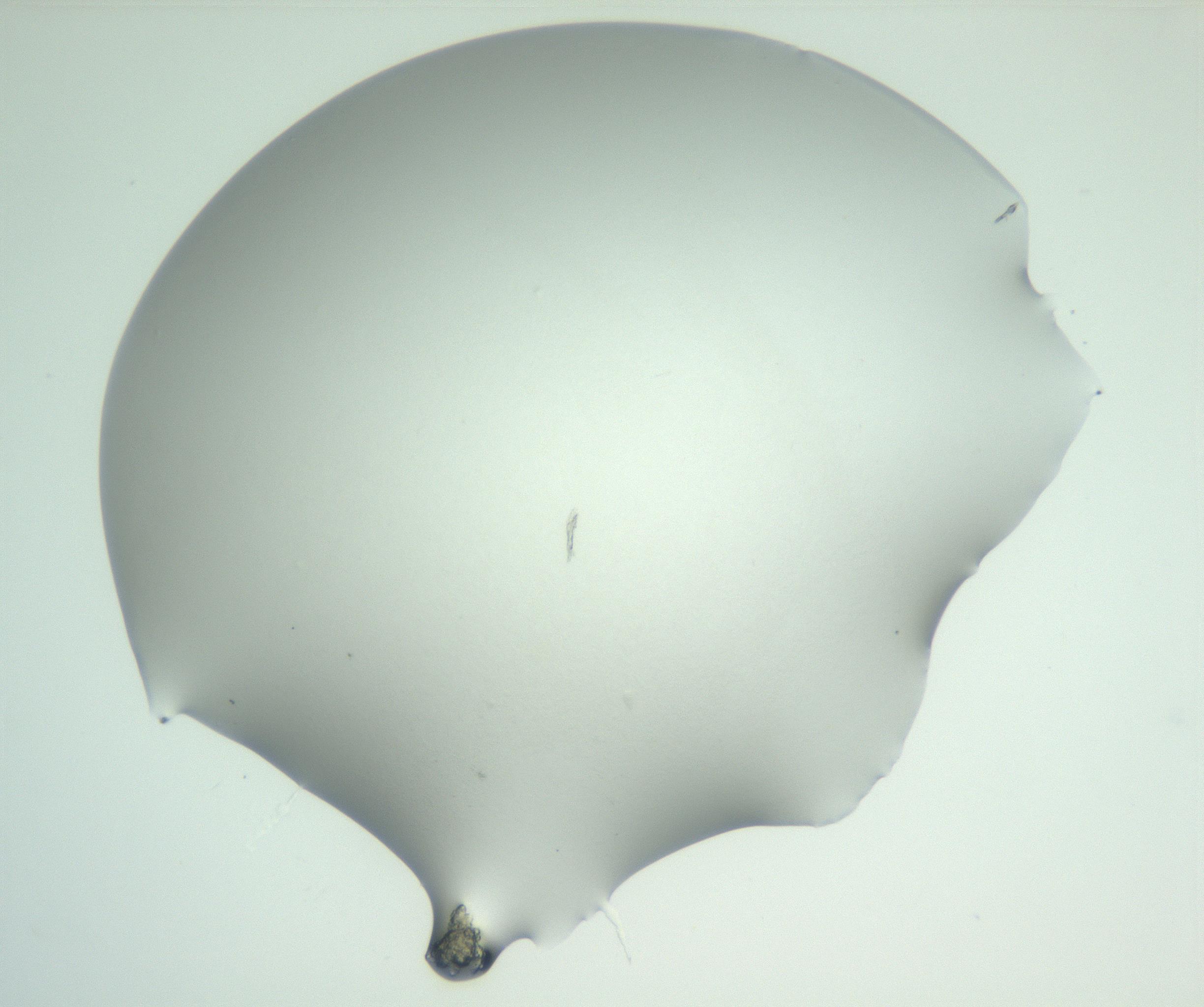 RI01_03_000_0212_Proj1_Clon1_MC_0000MC102829_002_161015_01_05_02_00_99_002_001_RAI.jpg