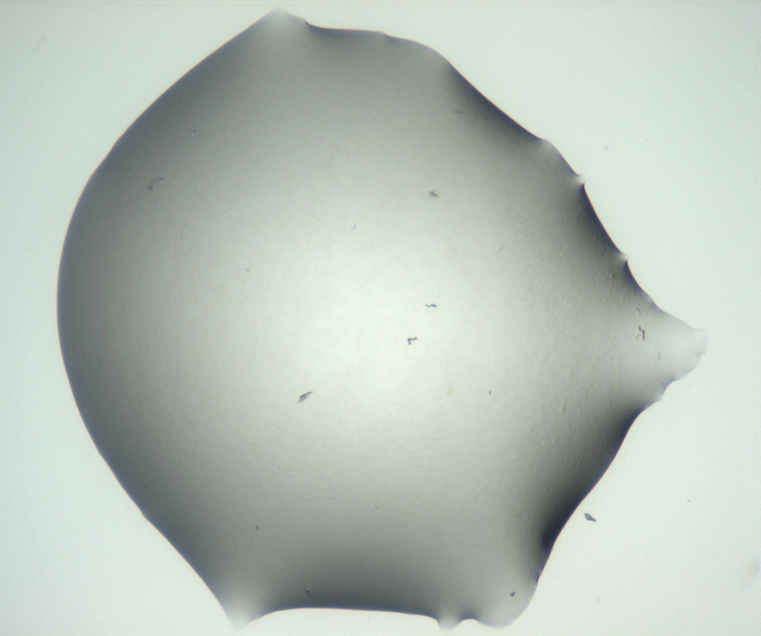 RI01_03_000_0212_Proj1_Clon1_MC_0000MC102829_002_161015_12_05_02_00_99_002_001_RAI.jpg