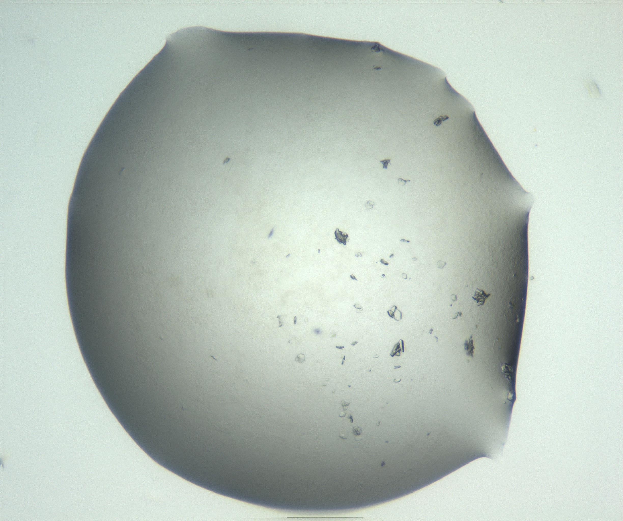 RI01_03_000_0212_Proj1_Clon1_MC_0000MC102830_002_161015_07_04_02_00_99_002_001_RAI.jpg