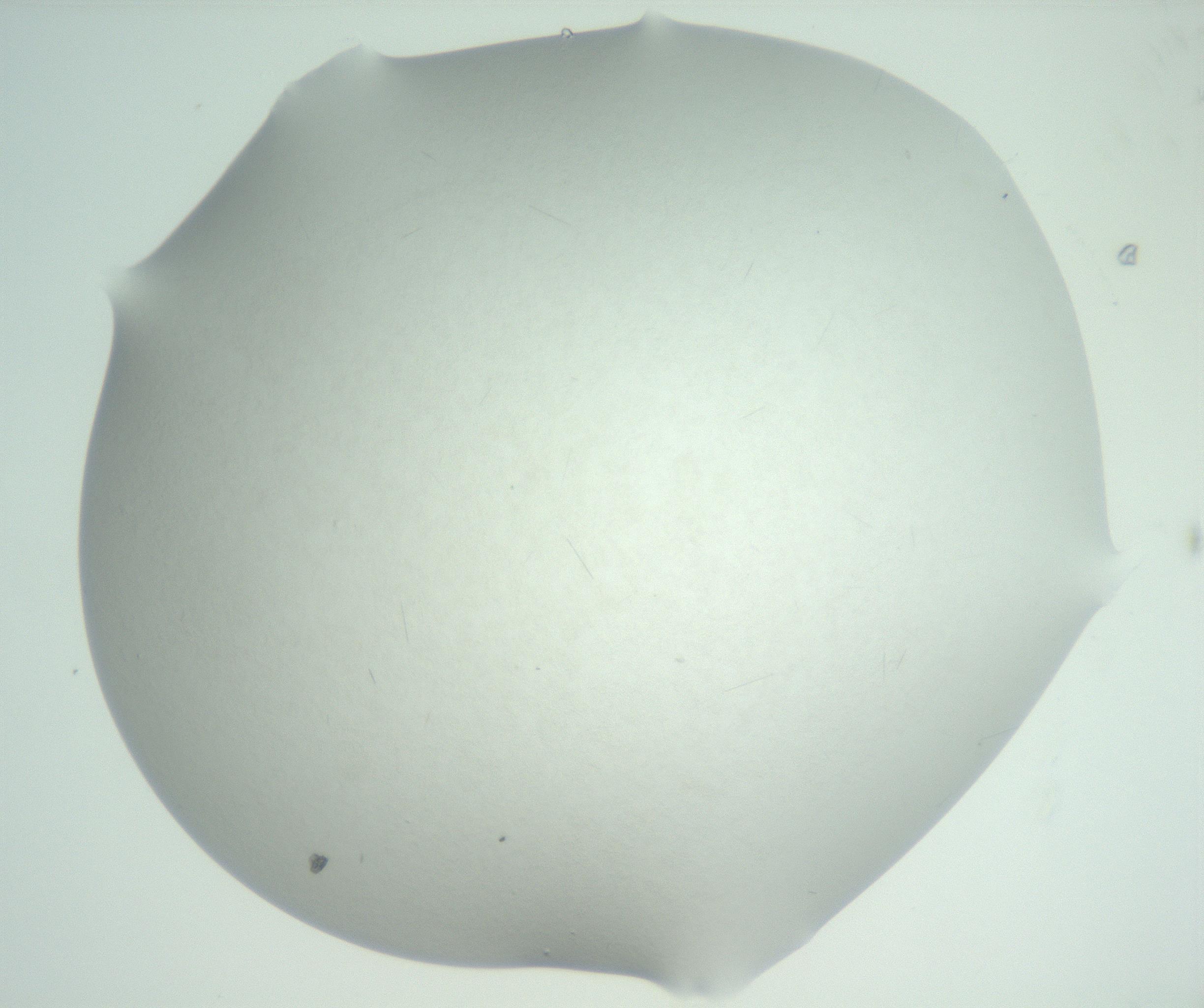 RI01_03_000_0212_Proj1_Clon1_MC_0000MC102830_002_161015_11_05_02_00_99_002_001_RAI.jpg
