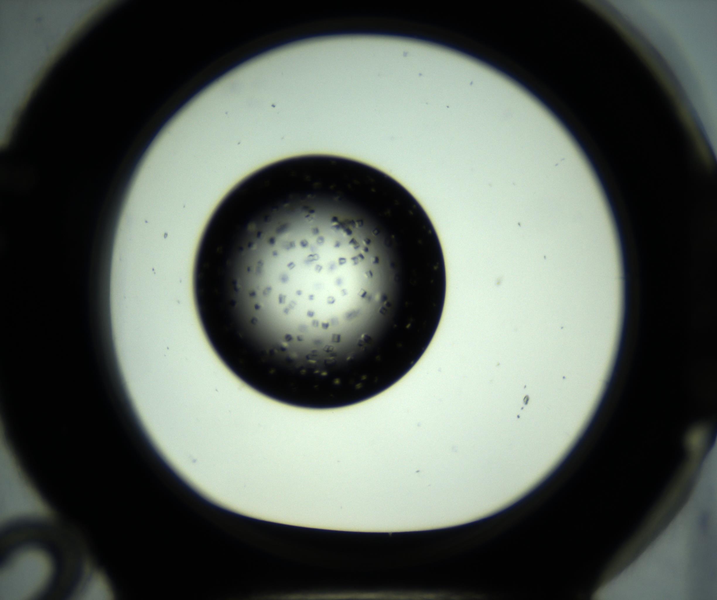 RI01_03_000_0212_Proj1_Clon1_MC_0000MC102833_004_161020_12_06_01_00_98_002_001_RAI.jpg