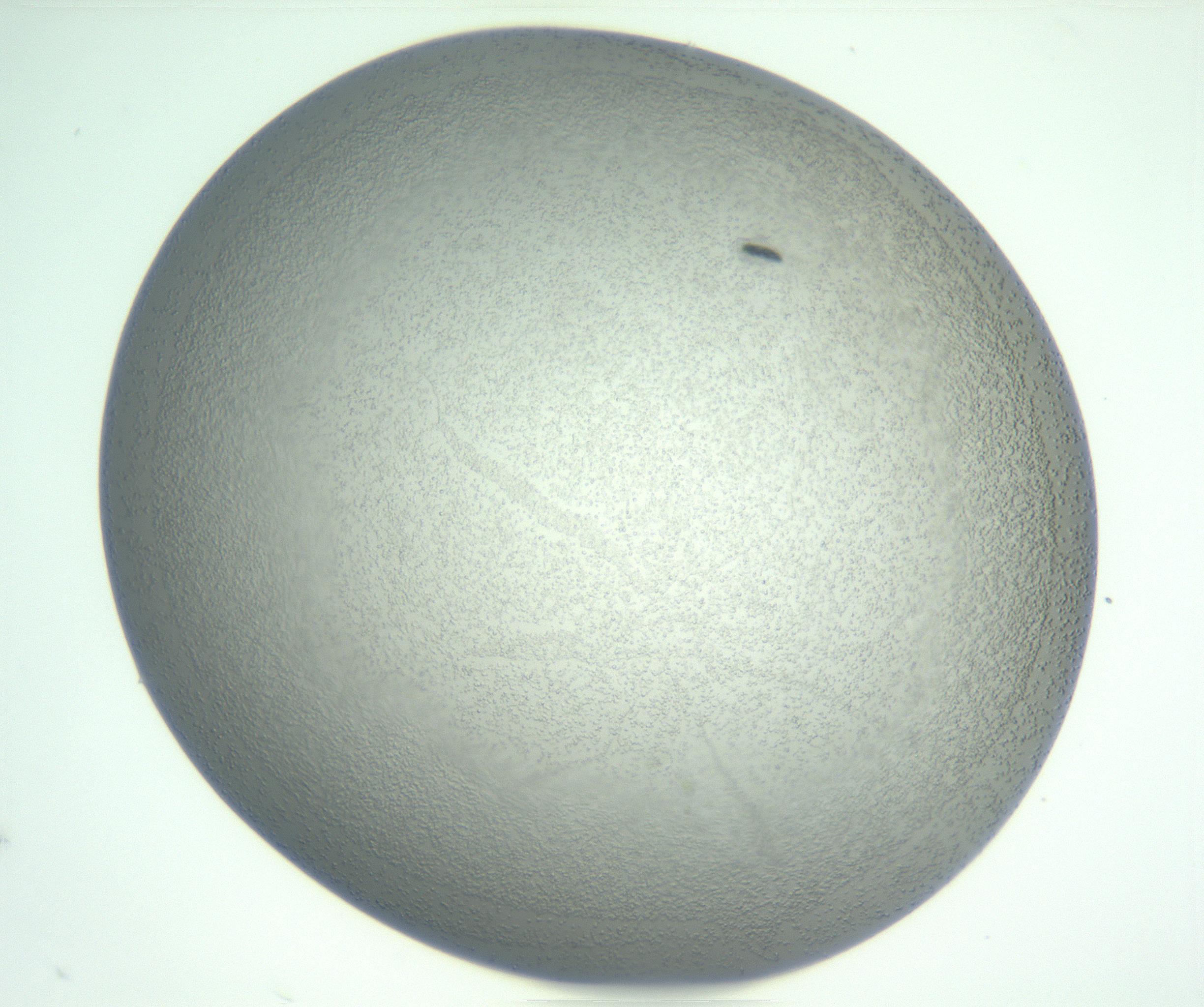 RI01_03_000_0212_Proj1_Clon1_MC_0000MC102833_007_161029_06_03_01_00_99_002_001_RAI.jpg