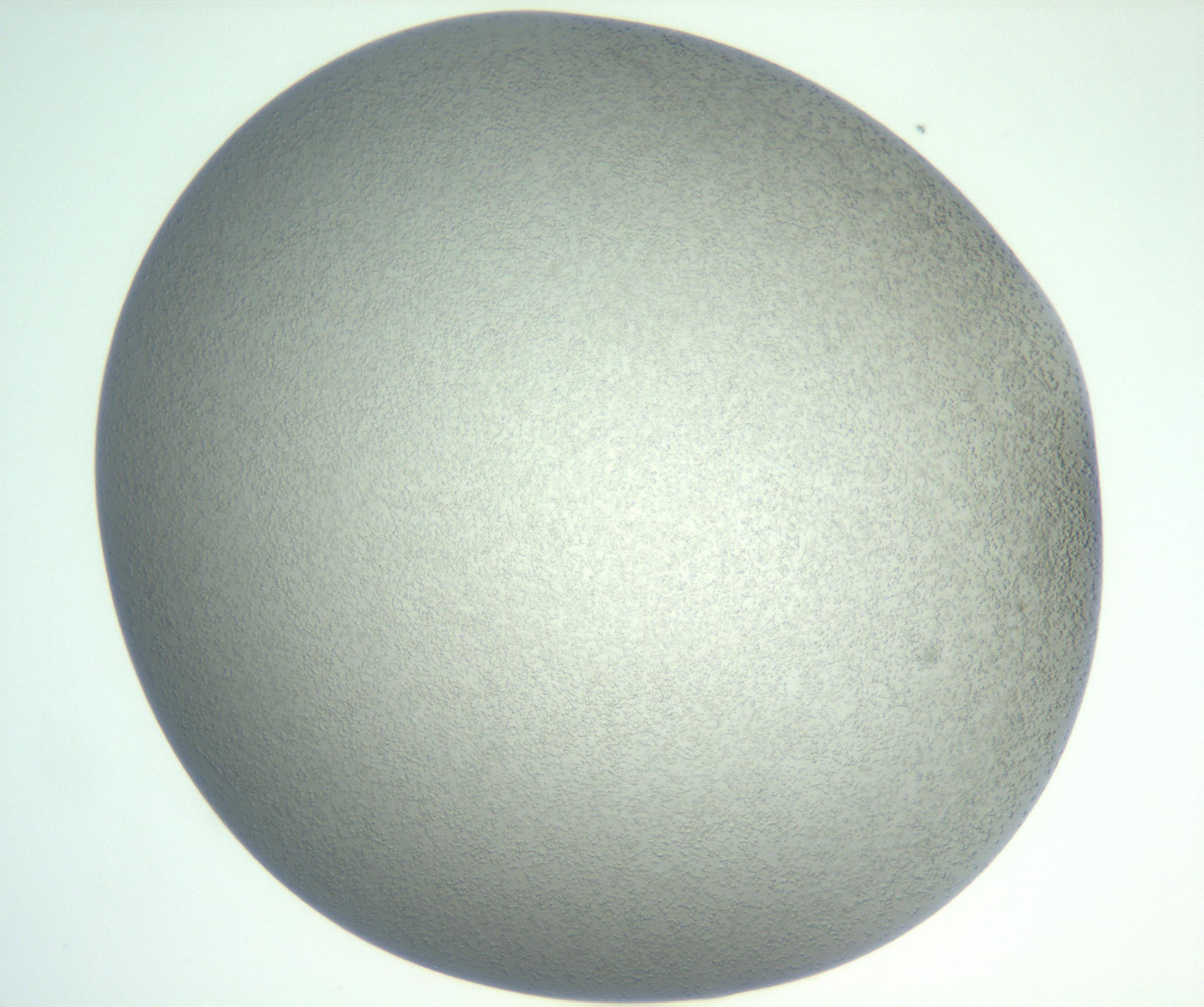 RI01_03_000_0212_Proj1_Clon1_MC_0000MC102833_007_161029_12_02_01_00_99_002_001_RAI.jpg