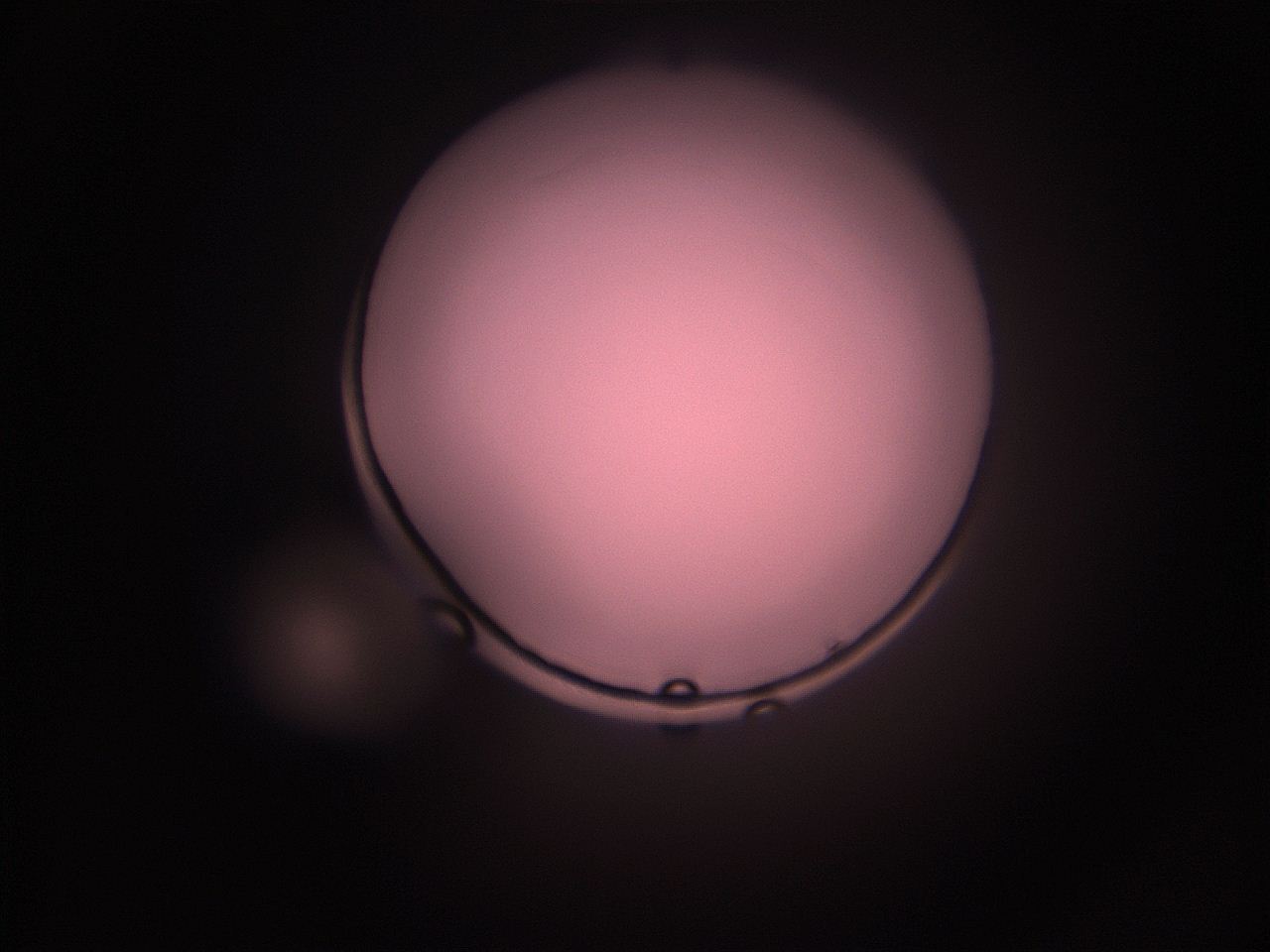 05i3_N8_ImagerDefaults_1.jpg