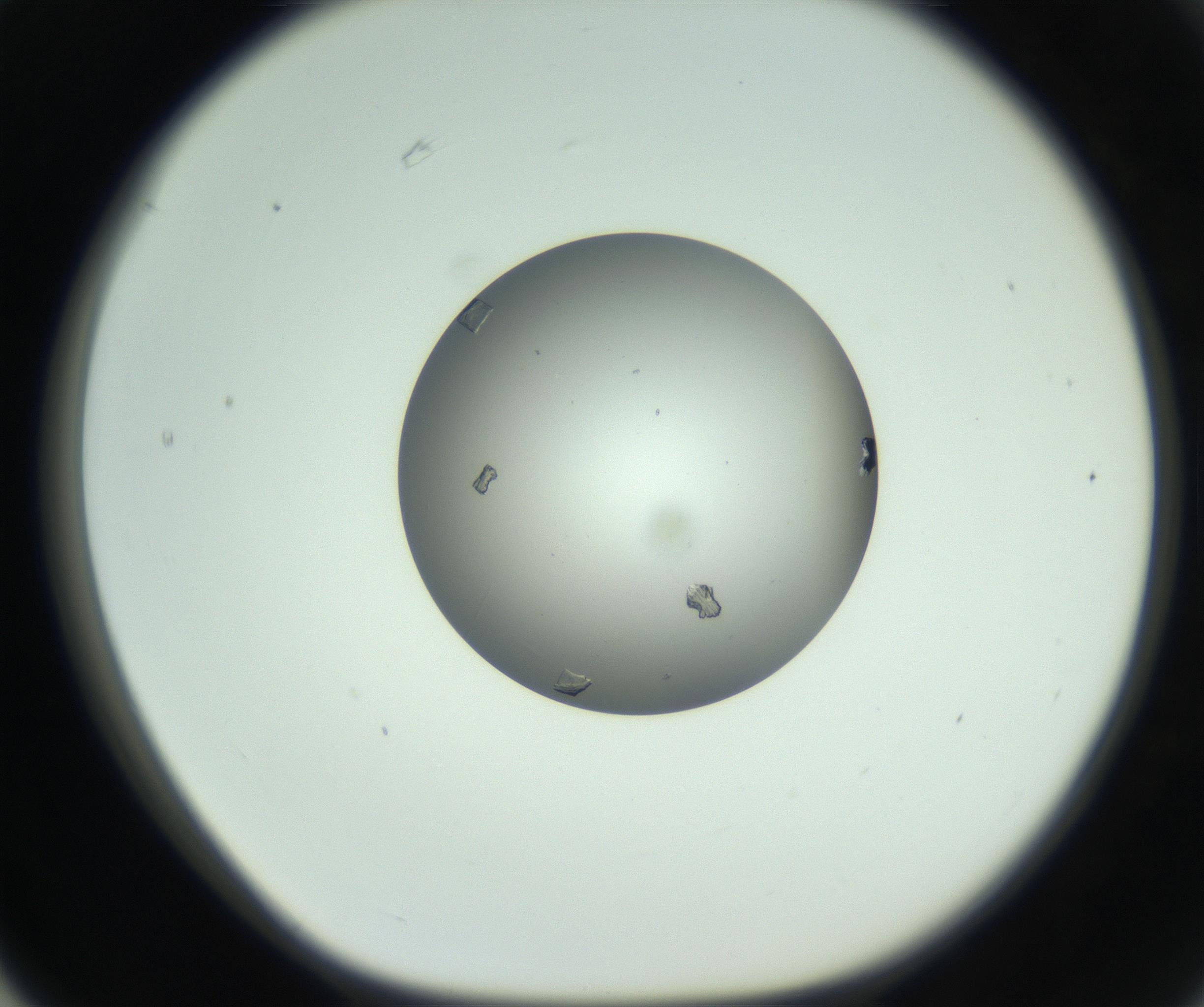 RI01_03_000_0212_Proj1_Clon1_MC_0000MC102857_003_161009_03_06_01_00_99_002_001_RAI.jpg