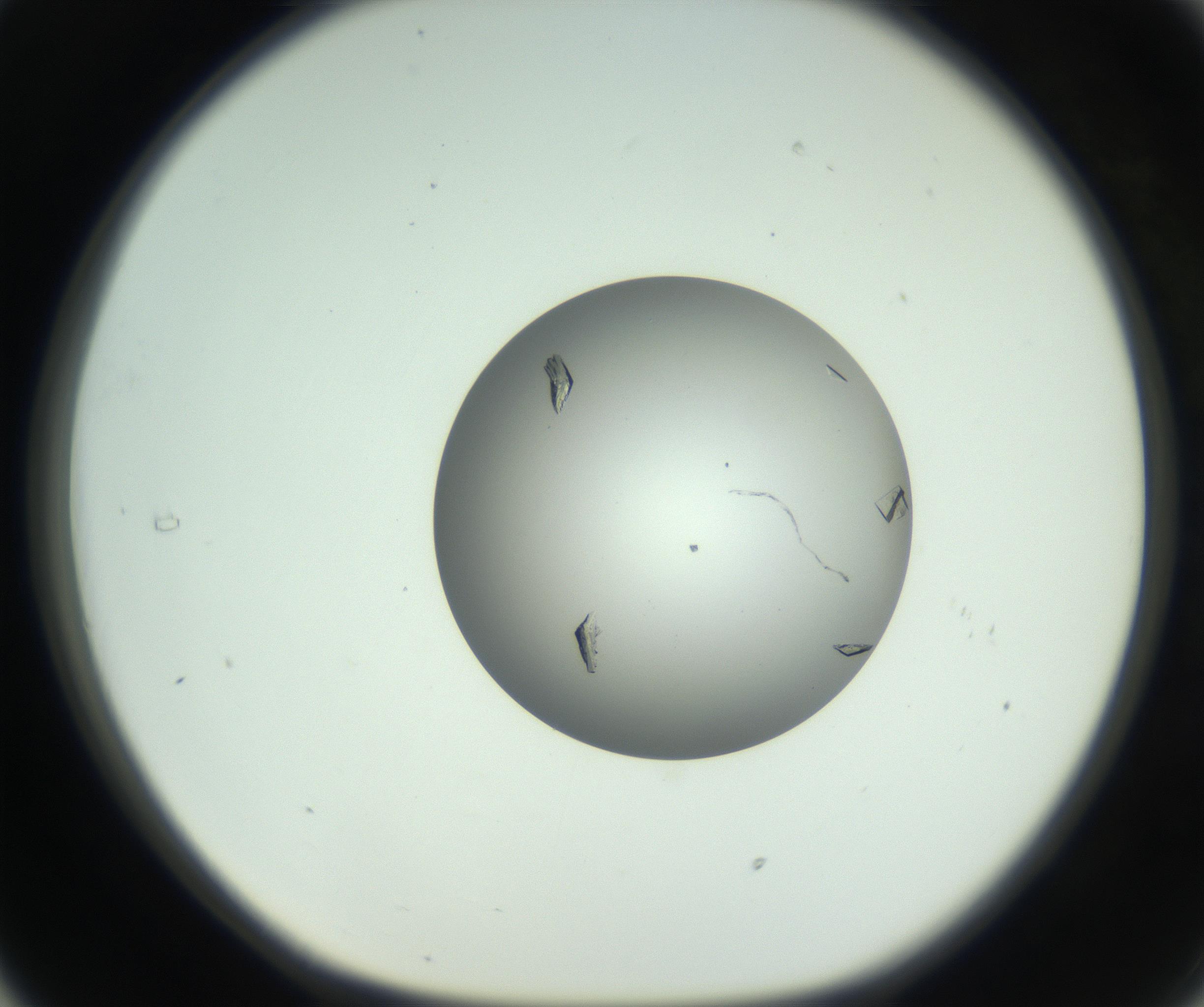 RI01_03_000_0212_Proj1_Clon1_MC_0000MC102857_003_161009_05_03_01_00_99_002_001_RAI.jpg