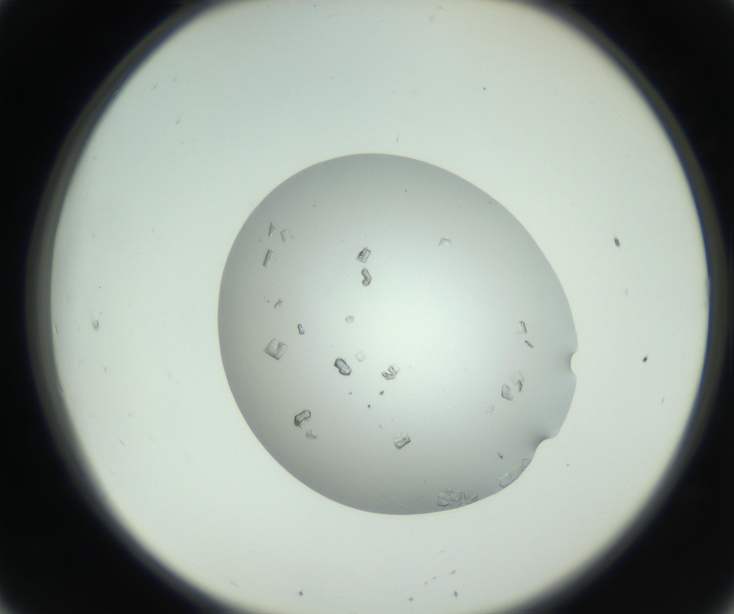 RI01_03_000_0212_Proj1_Clon1_MC_0000MC102857_003_161009_08_02_02_00_99_002_001_RAI.jpg