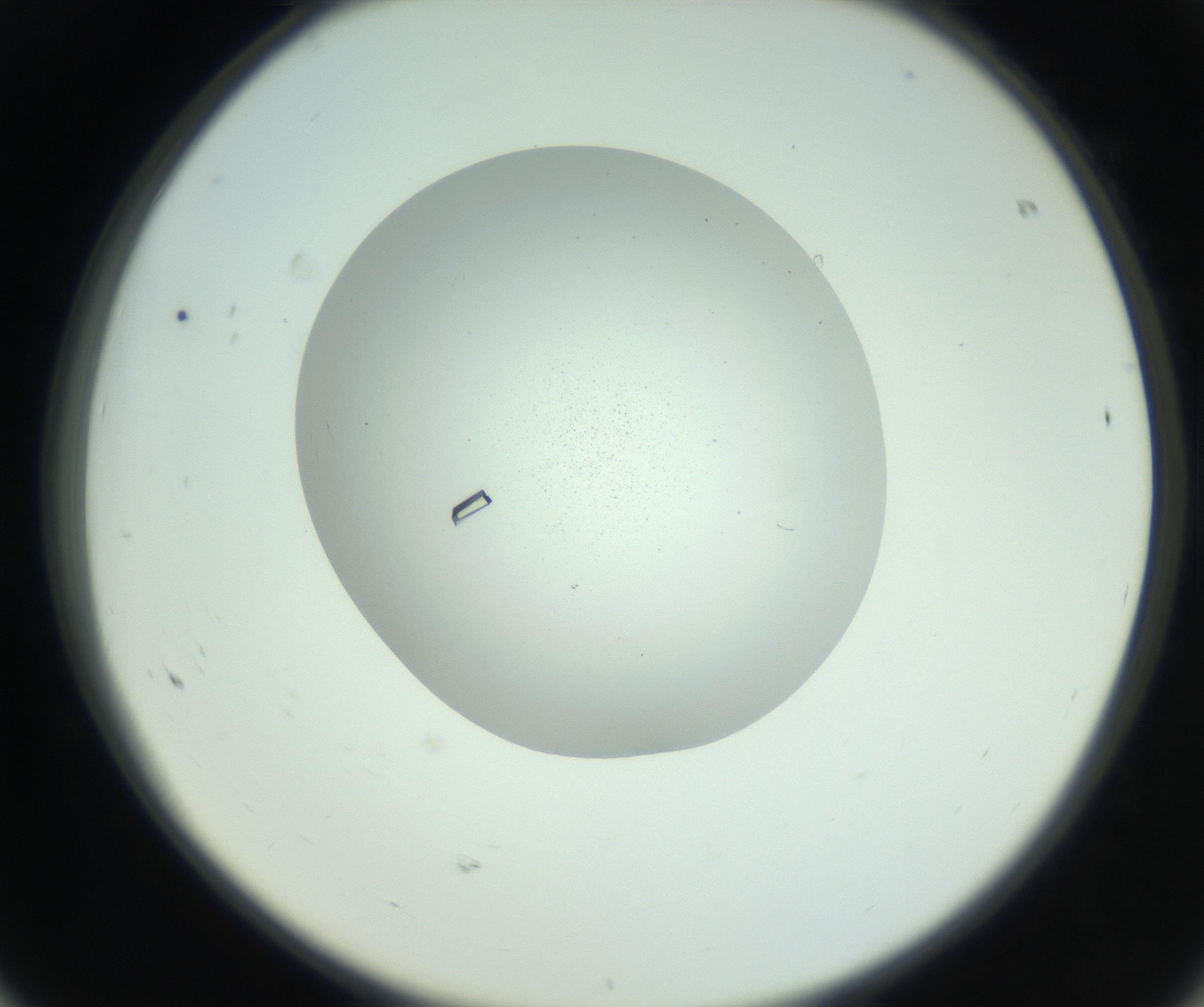 RI01_03_000_0212_Proj1_Clon1_MC_0000MC102857_003_161009_08_06_02_00_99_002_001_RAI.jpg