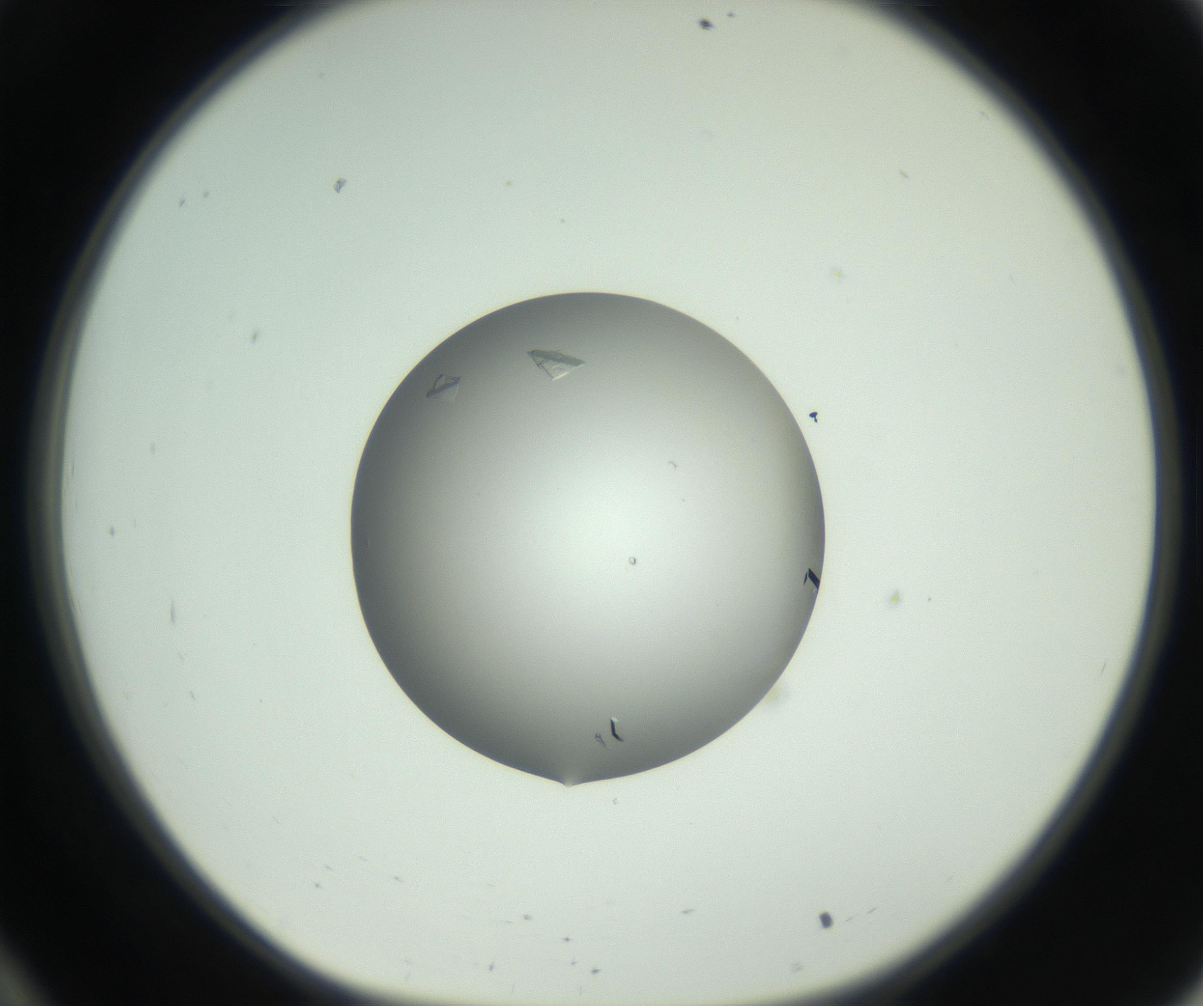 RI01_03_000_0212_Proj1_Clon1_MC_0000MC102857_003_161009_10_03_01_00_99_002_001_RAI.jpg