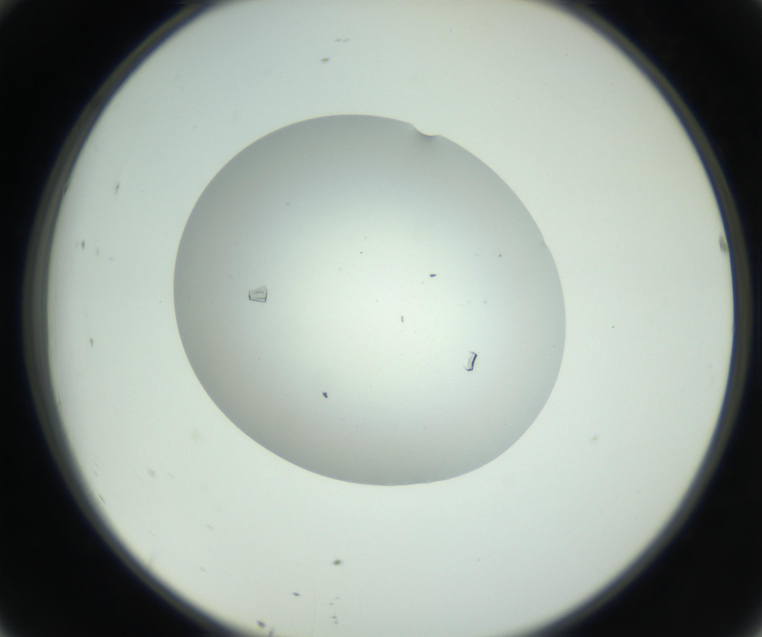RI01_03_000_0212_Proj1_Clon1_MC_0000MC102857_003_161009_10_04_02_00_99_002_001_RAI.jpg