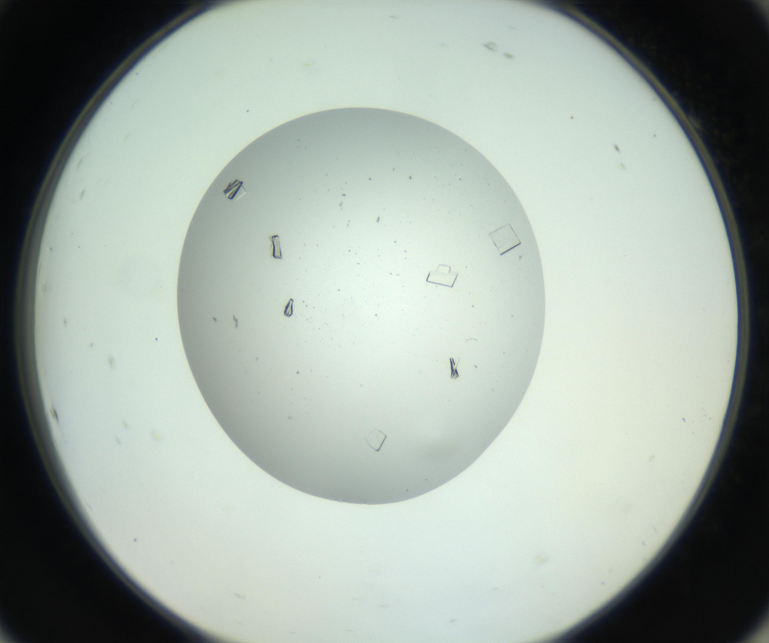 RI01_03_000_0212_Proj1_Clon1_MC_0000MC102857_003_161009_10_08_02_00_99_002_001_RAI.jpg