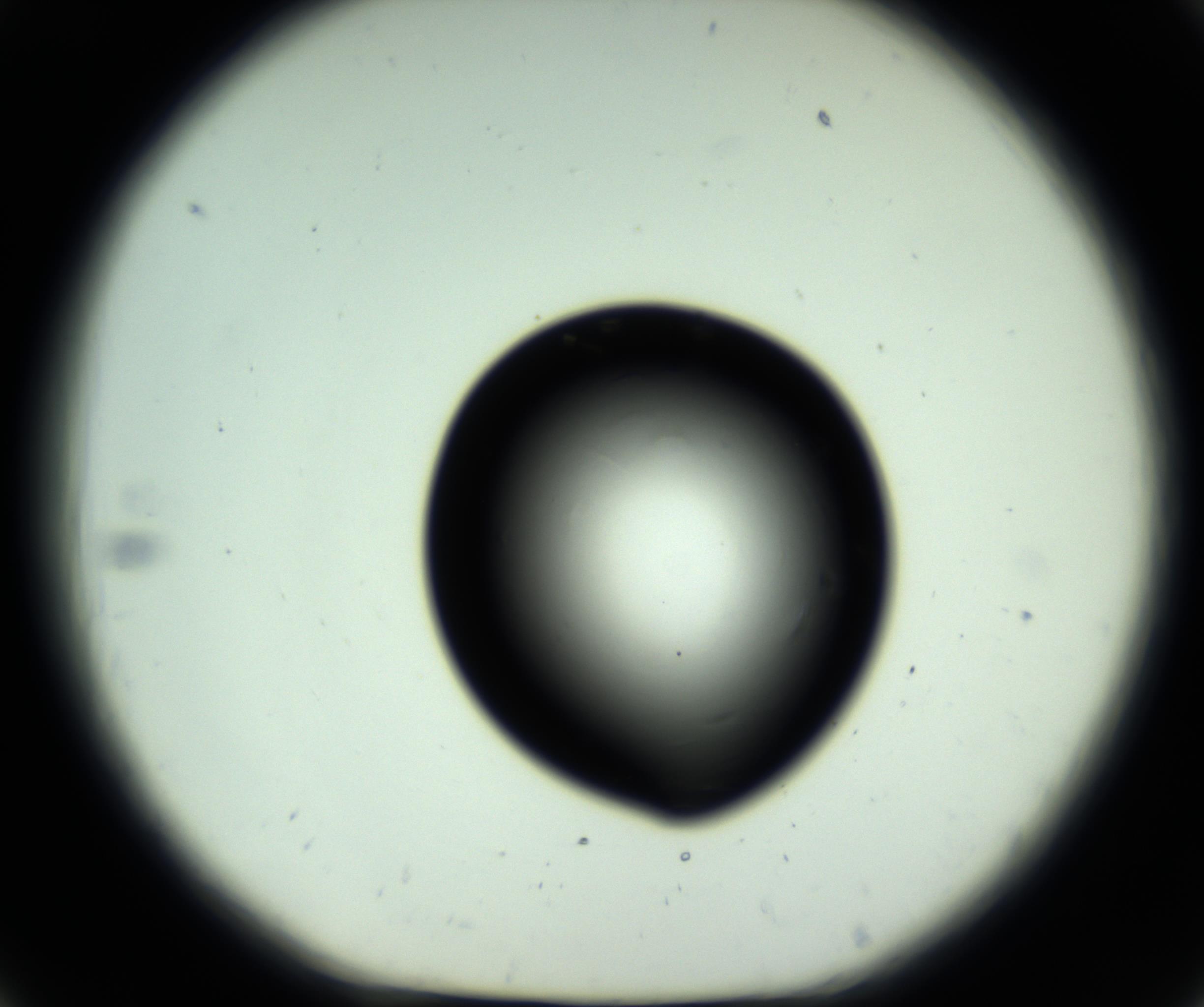 RI01_03_000_0212_Proj1_Clon1_MC_0000MC102857_004_161011_06_02_01_00_98_002_001_RAI.jpg