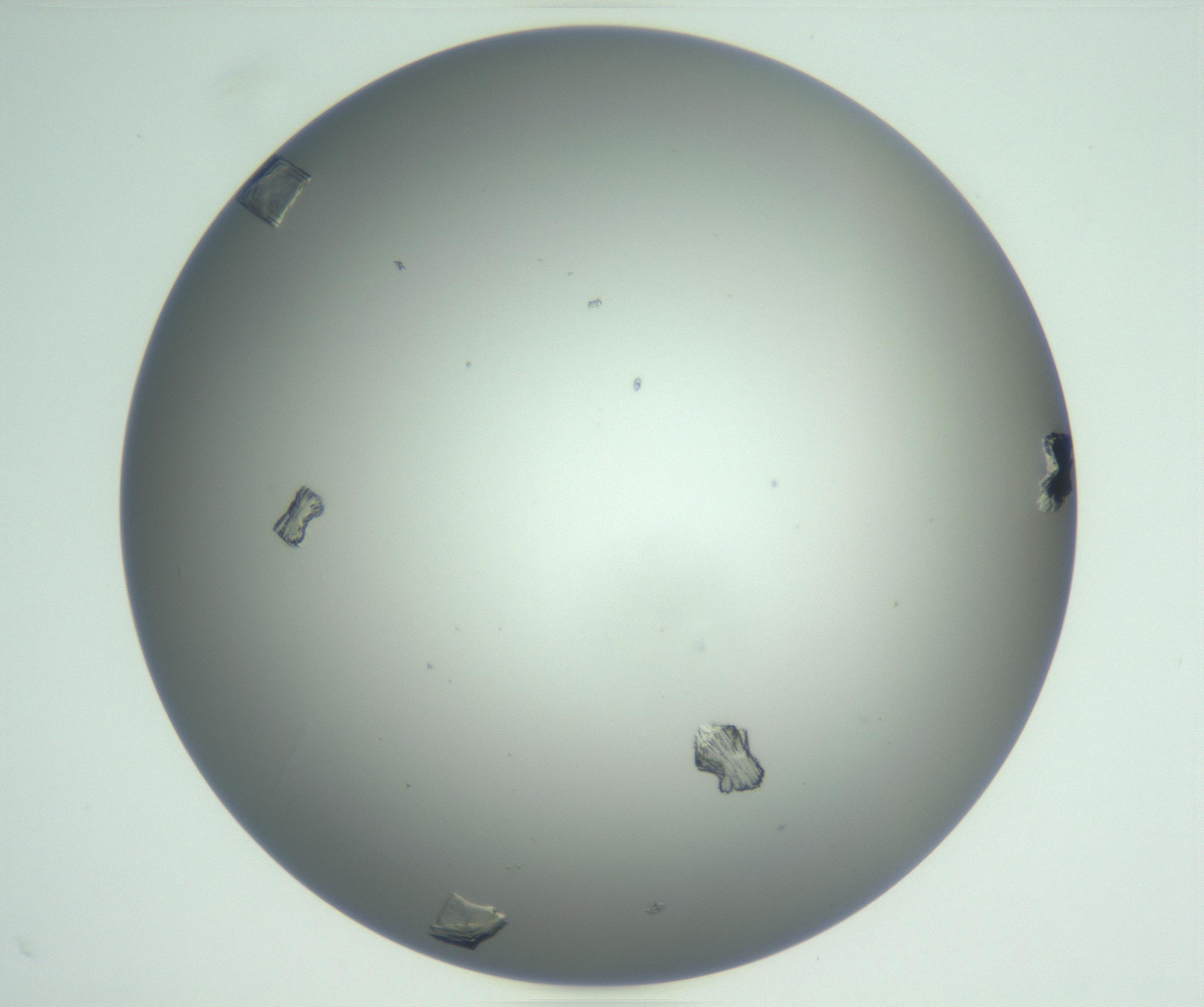 RI01_03_000_0212_Proj1_Clon1_MC_0000MC102857_007_161020_03_06_01_00_99_002_001_RAI.jpg