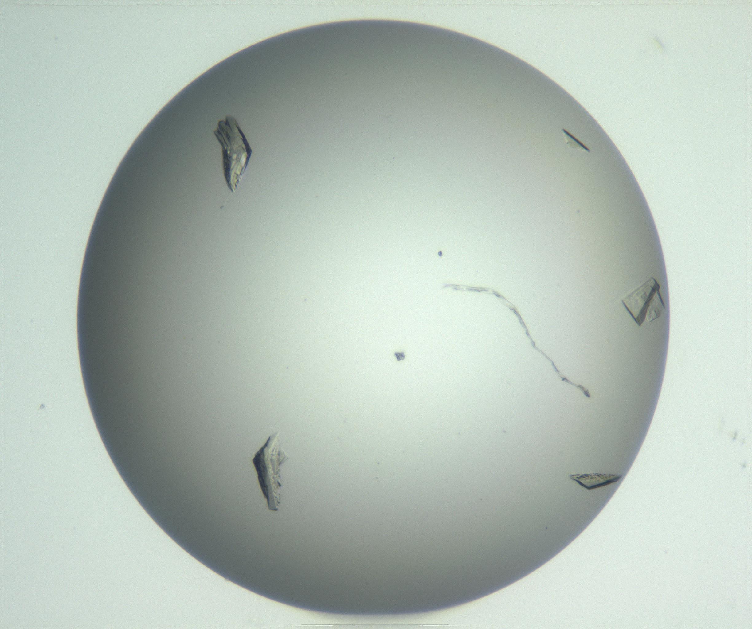 RI01_03_000_0212_Proj1_Clon1_MC_0000MC102857_007_161020_05_03_01_00_99_002_001_RAI.jpg