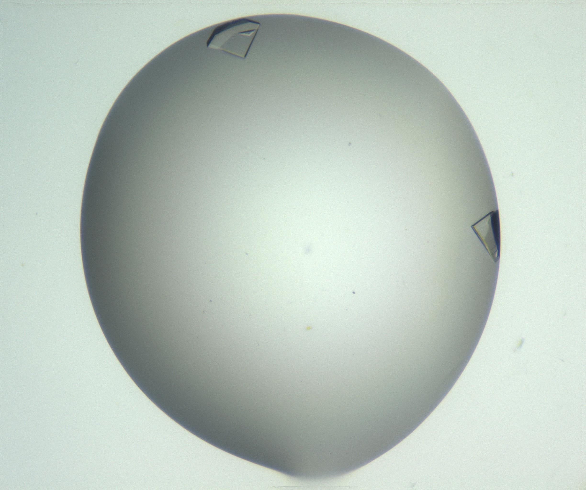RI01_03_000_0212_Proj1_Clon1_MC_0000MC102857_007_161020_06_02_01_00_99_002_001_RAI.jpg