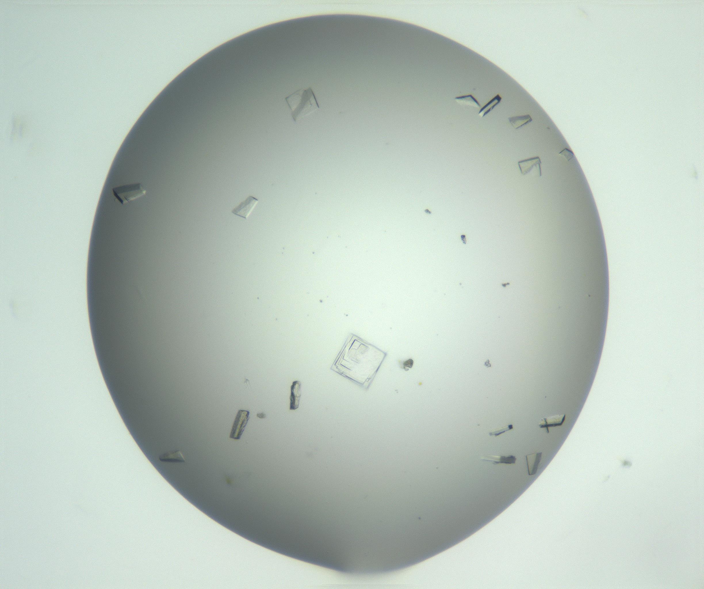RI01_03_000_0212_Proj1_Clon1_MC_0000MC102857_007_161020_07_02_01_00_99_002_001_RAI.jpg