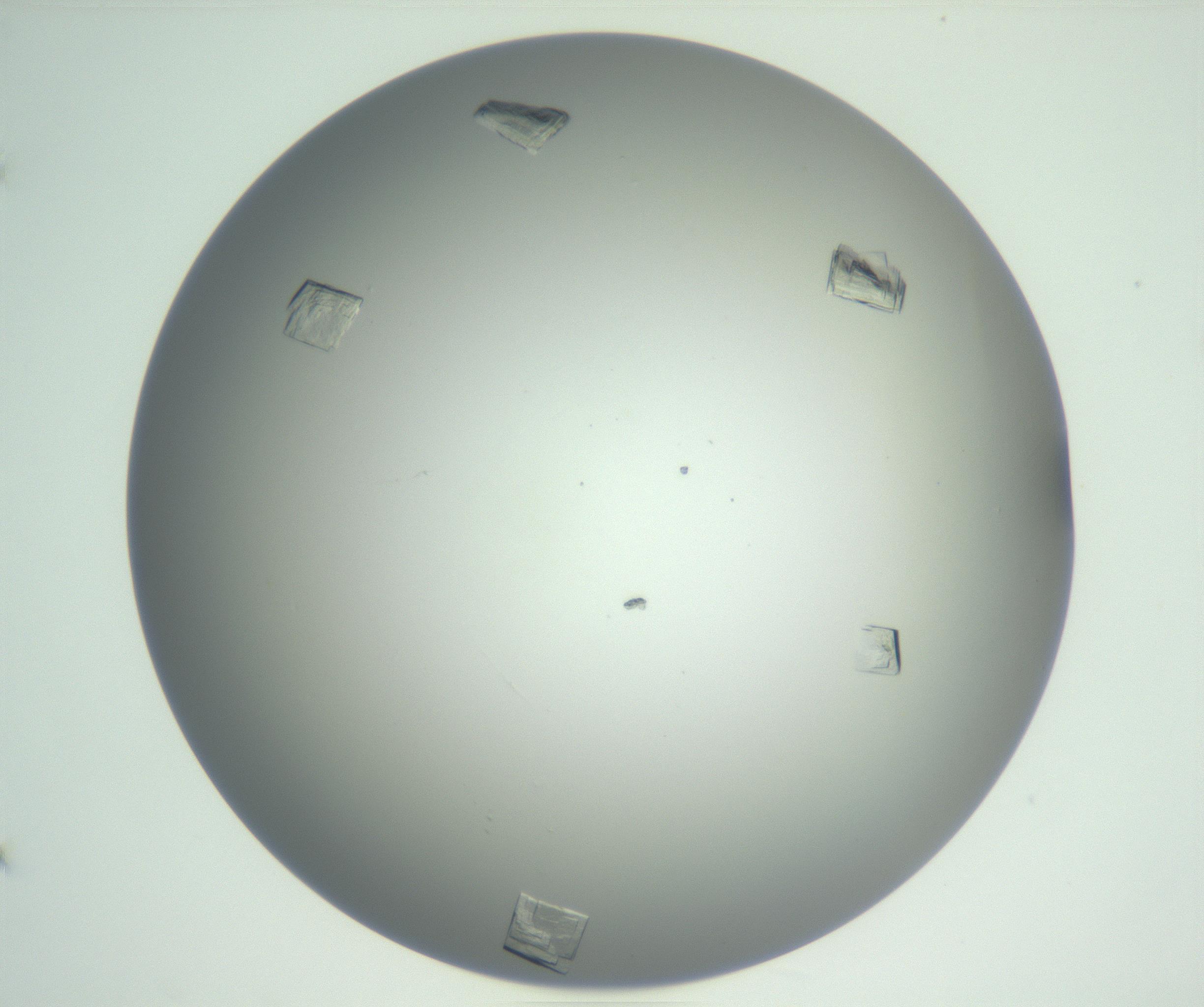 RI01_03_000_0212_Proj1_Clon1_MC_0000MC102857_007_161020_11_04_01_00_99_002_001_RAI.jpg