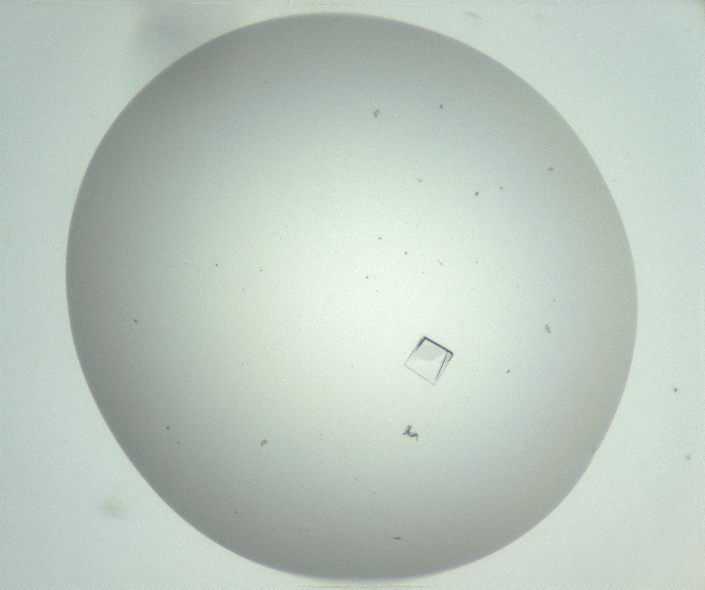 RI01_03_000_0212_Proj1_Clon1_MC_0000MC102857_007_161020_12_03_02_00_99_002_001_RAI.jpg