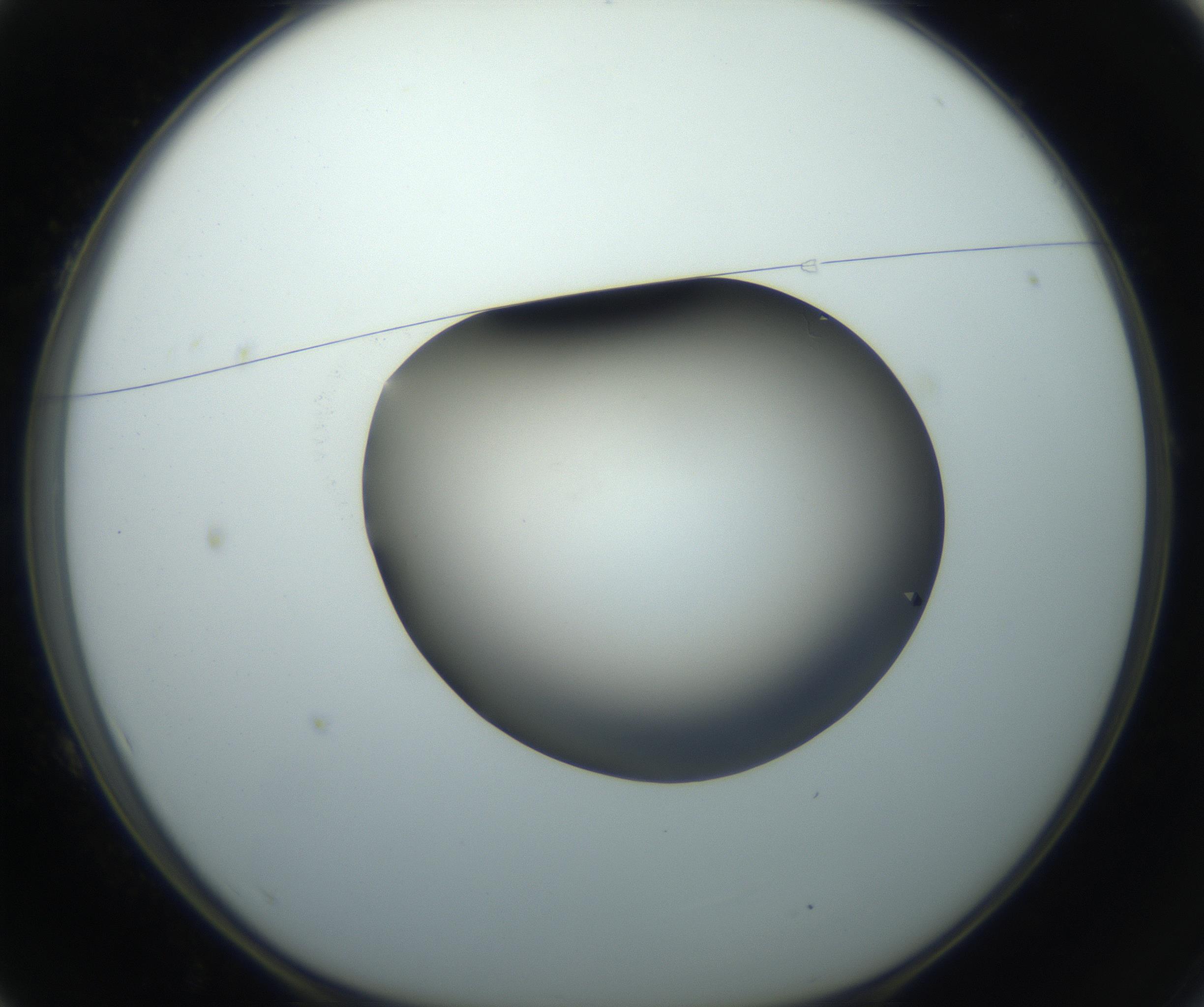 RI01_03_000_0212_Proj1_Clon1_MC_0000MC102861_002_161007_01_01_01_00_99_002_001_RAI.jpg