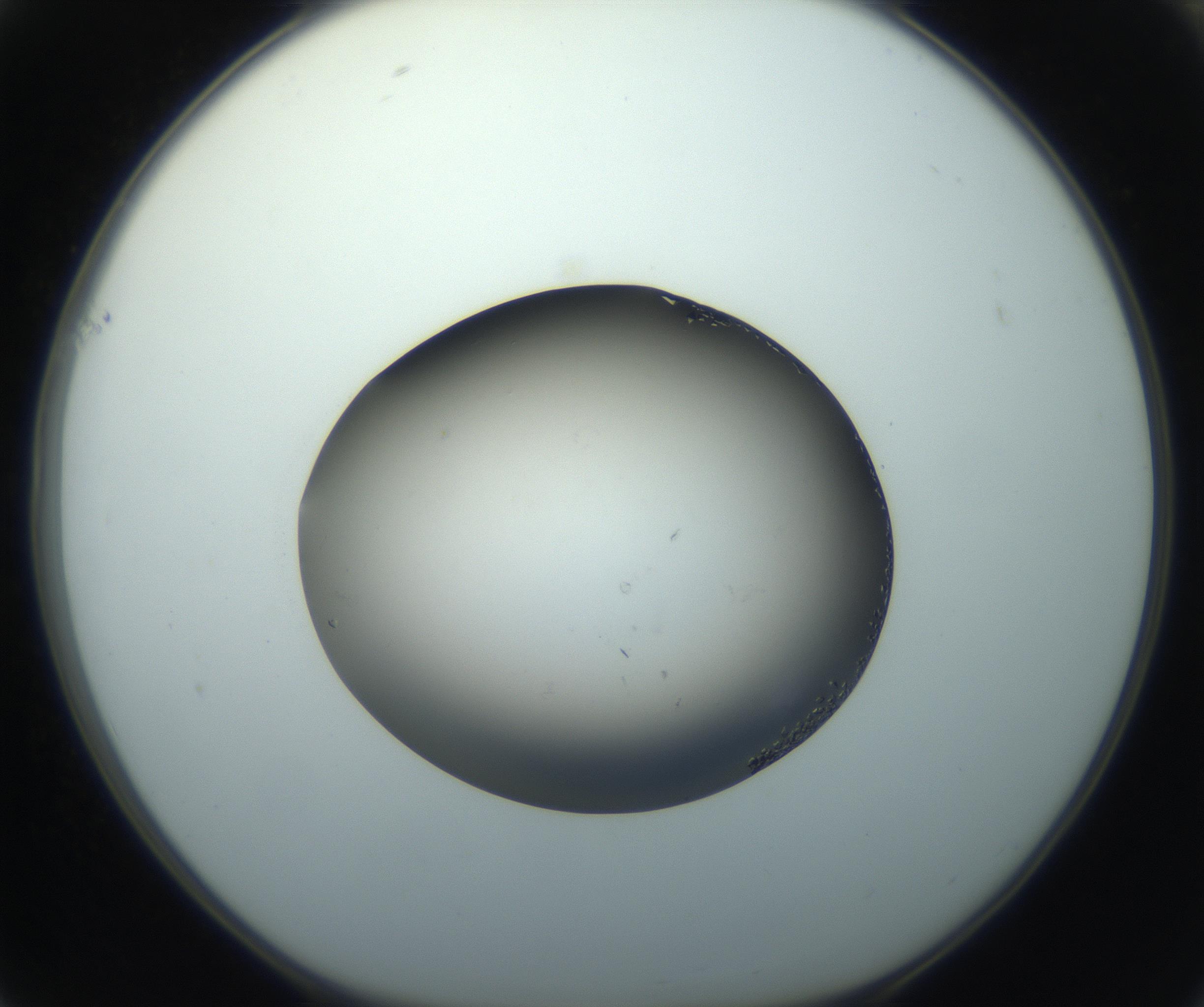 RI01_03_000_0212_Proj1_Clon1_MC_0000MC102861_002_161007_01_06_01_00_99_002_001_RAI.jpg