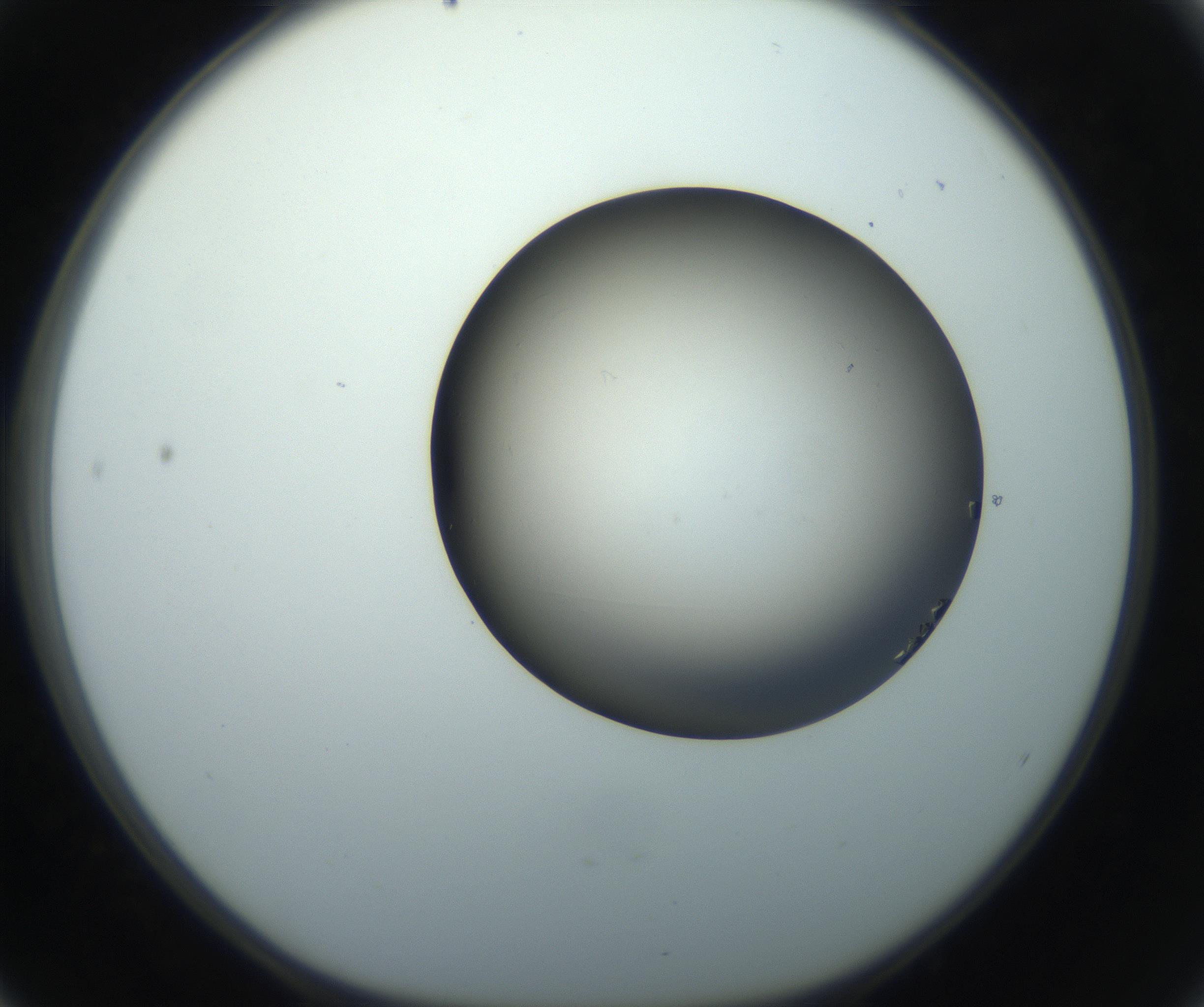 RI01_03_000_0212_Proj1_Clon1_MC_0000MC102861_002_161007_04_05_01_00_99_002_001_RAI.jpg