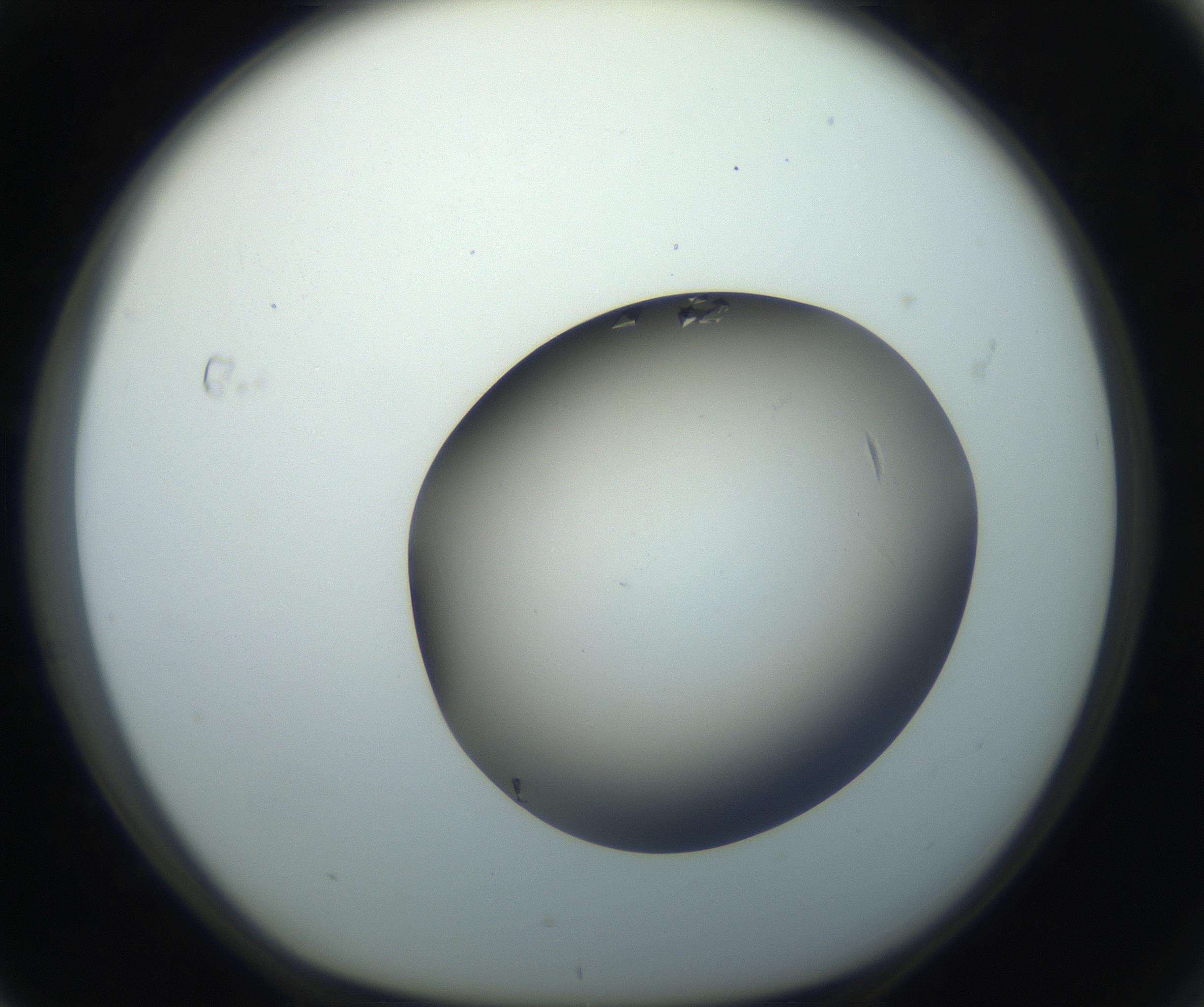 RI01_03_000_0212_Proj1_Clon1_MC_0000MC102861_002_161007_04_07_01_00_99_002_001_RAI.jpg