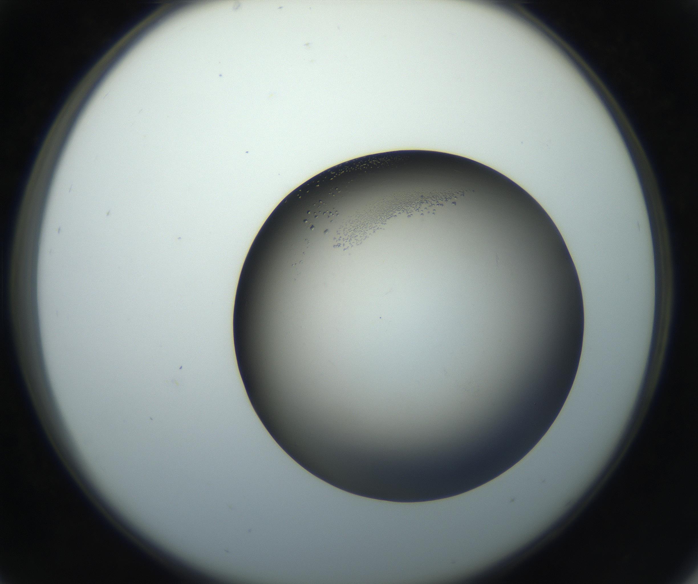 RI01_03_000_0212_Proj1_Clon1_MC_0000MC102861_002_161007_05_03_02_00_99_002_001_RAI.jpg