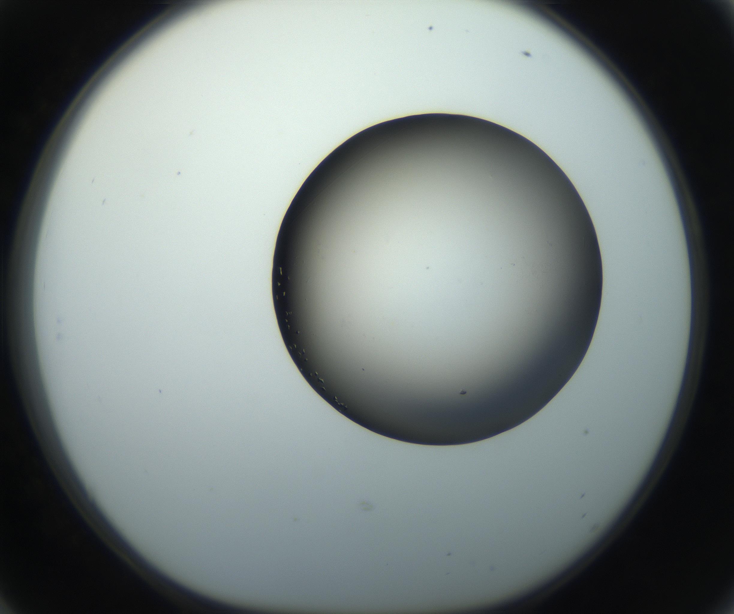 RI01_03_000_0212_Proj1_Clon1_MC_0000MC102861_002_161007_06_05_01_00_99_002_001_RAI.jpg