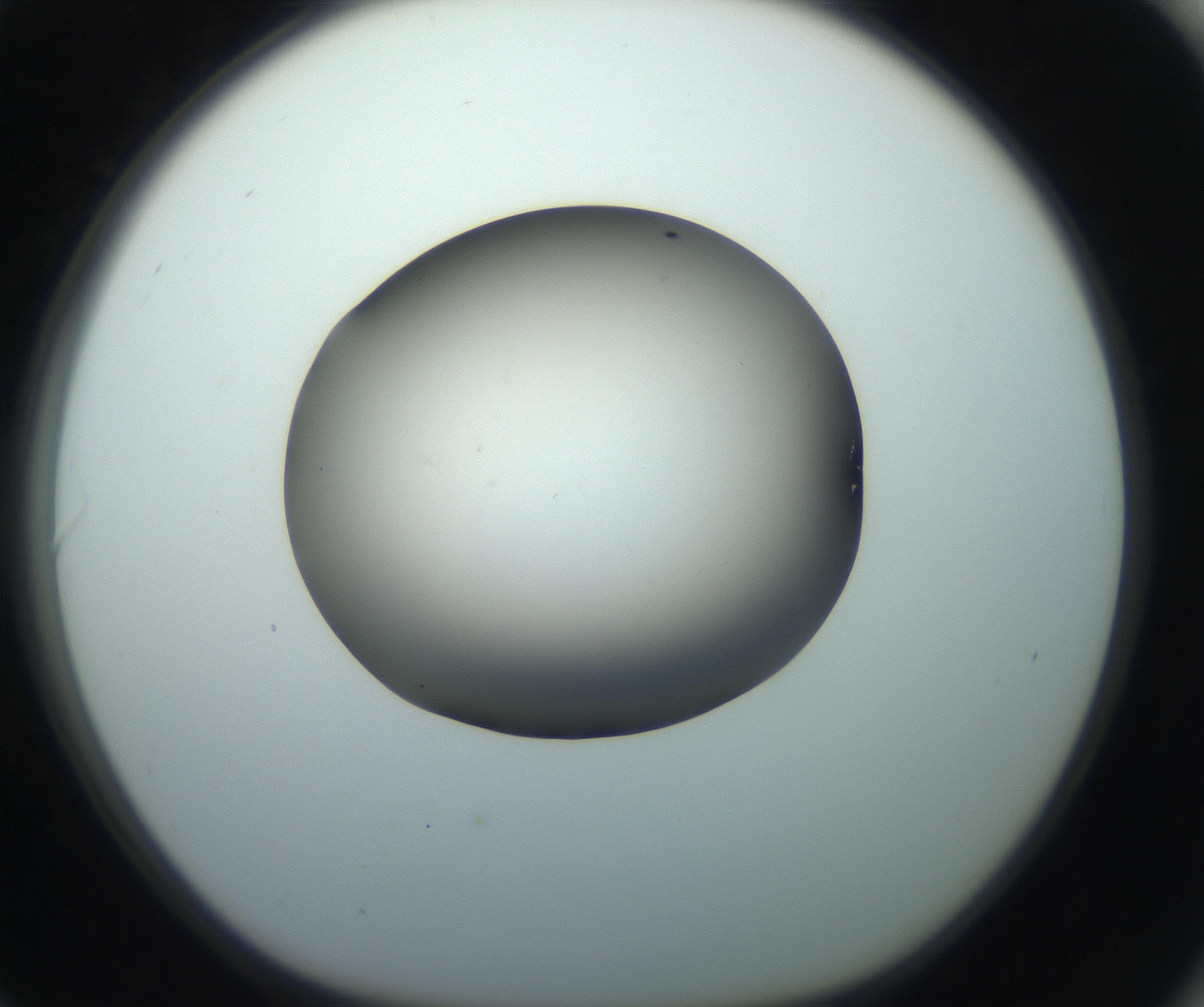 RI01_03_000_0212_Proj1_Clon1_MC_0000MC102861_002_161007_06_08_01_00_99_002_001_RAI.jpg