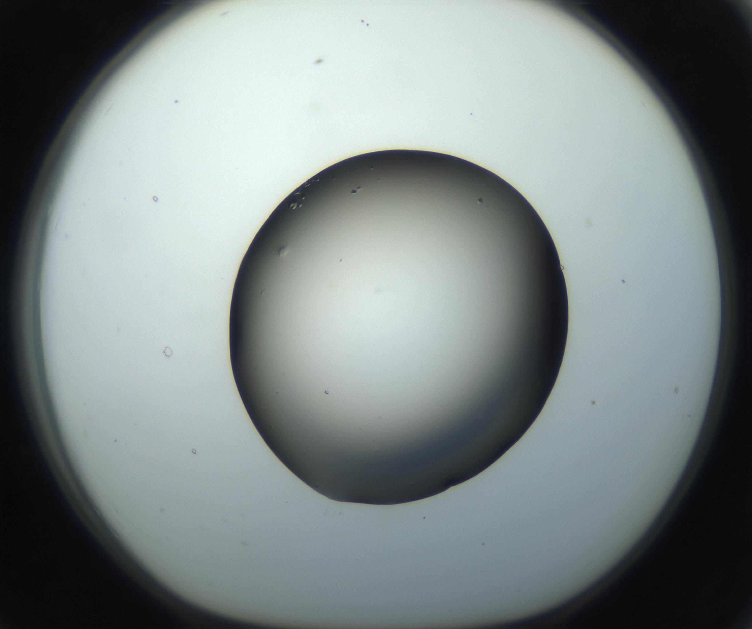 RI01_03_000_0212_Proj1_Clon1_MC_0000MC102861_002_161007_07_07_01_00_99_002_001_RAI.jpg