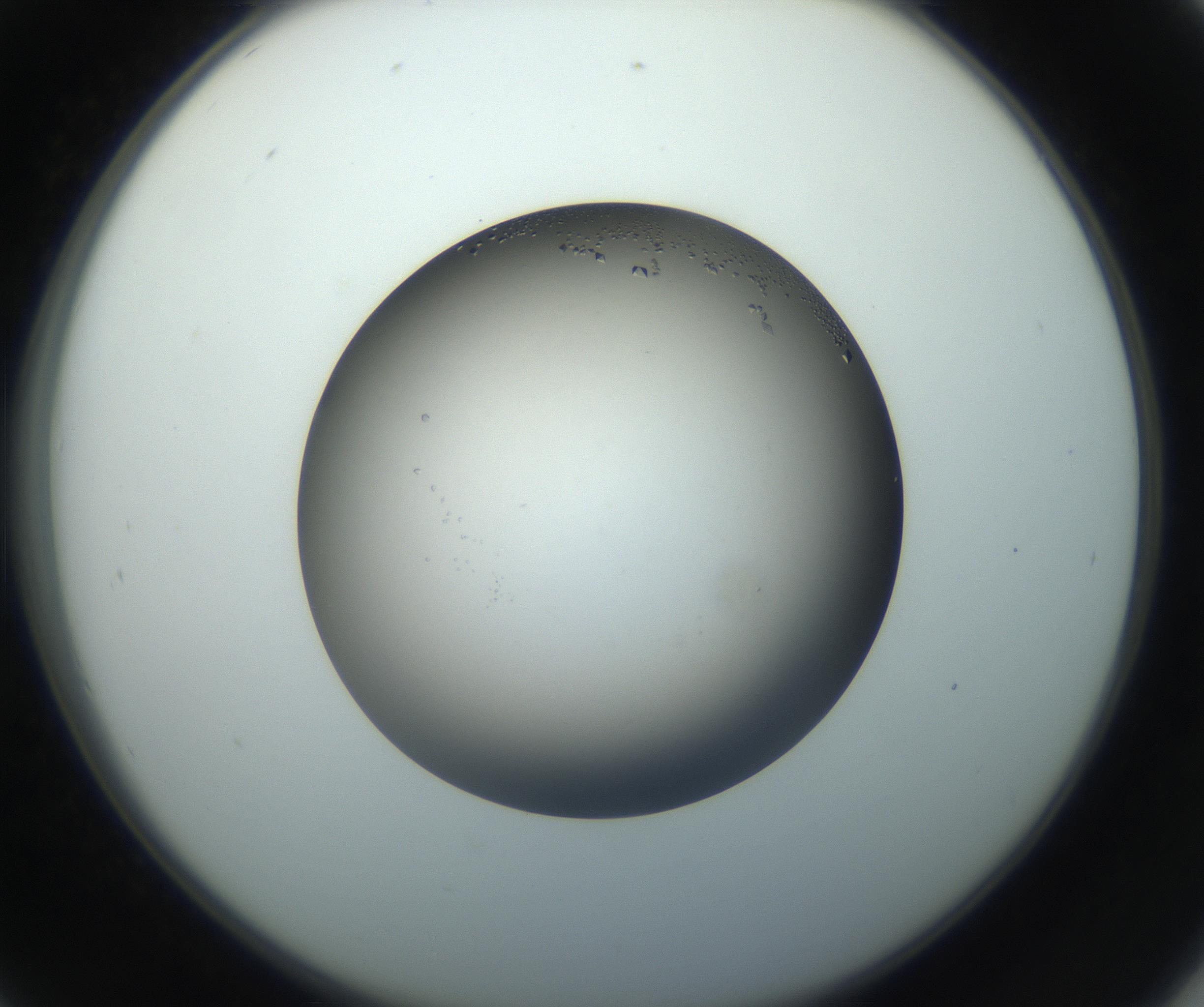 RI01_03_000_0212_Proj1_Clon1_MC_0000MC102861_002_161007_09_04_02_00_99_002_001_RAI.jpg