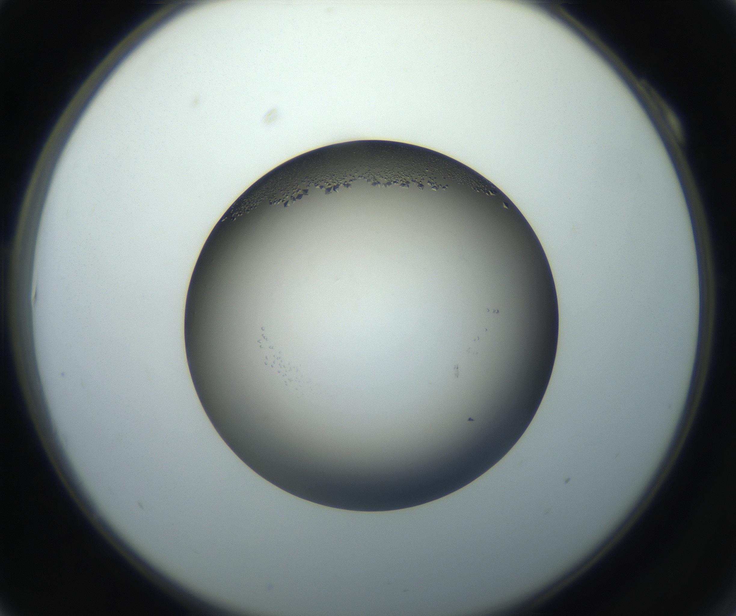 RI01_03_000_0212_Proj1_Clon1_MC_0000MC102861_002_161007_10_01_02_00_99_002_001_RAI.jpg