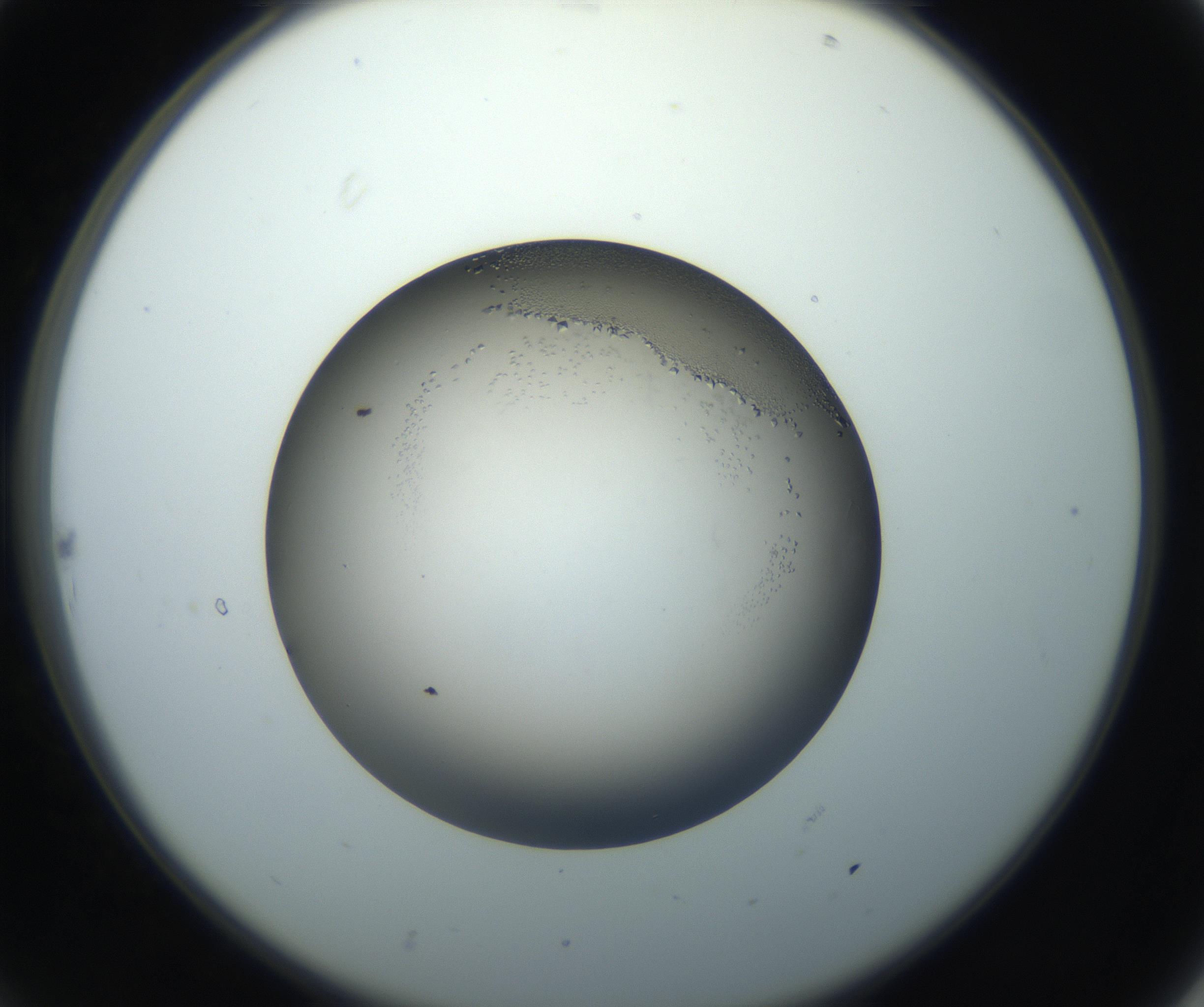 RI01_03_000_0212_Proj1_Clon1_MC_0000MC102861_002_161007_10_02_02_00_99_002_001_RAI.jpg