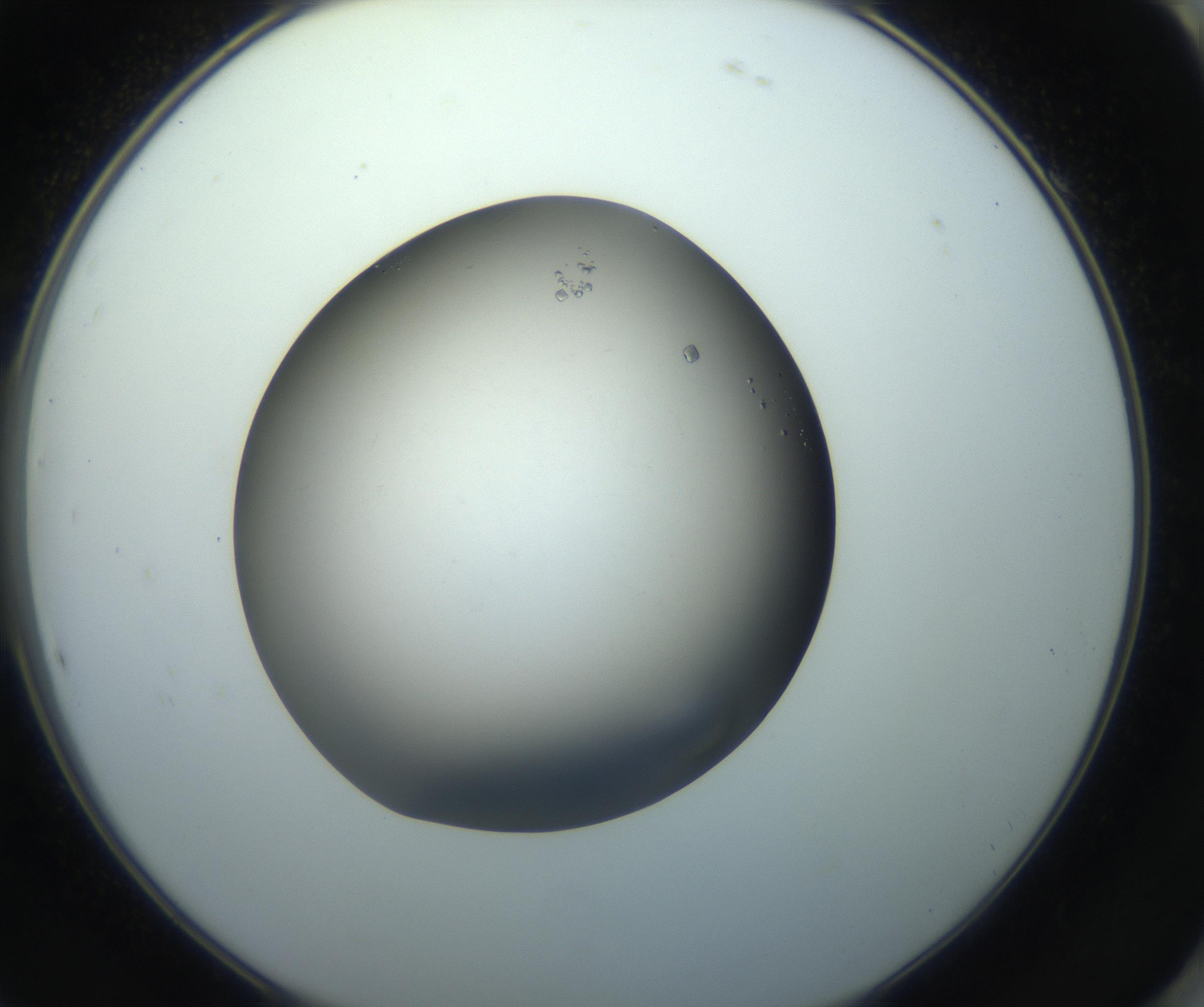 RI01_03_000_0212_Proj1_Clon1_MC_0000MC102861_002_161007_10_08_02_00_99_002_001_RAI.jpg